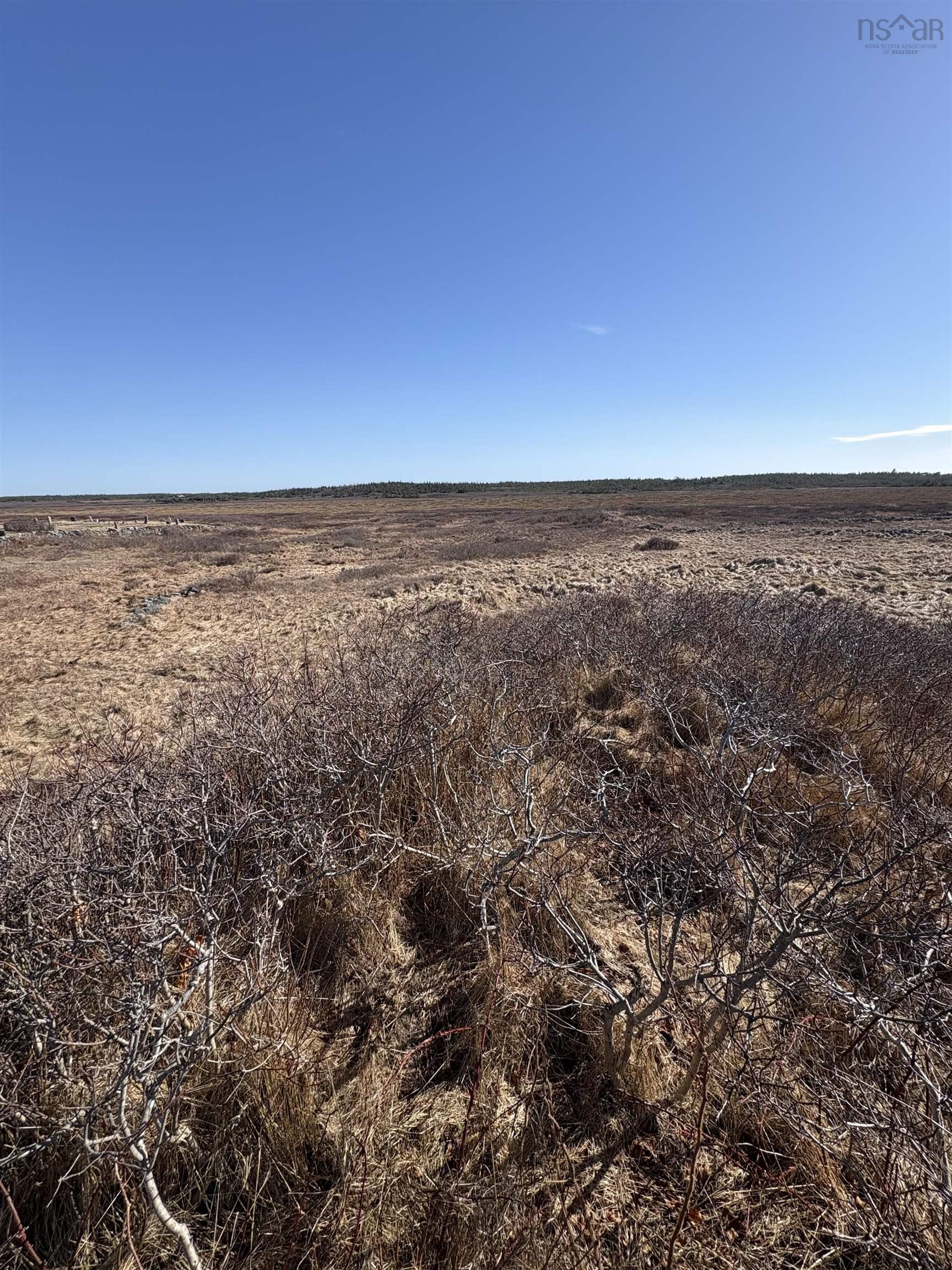 $49,000.00: Lot (PID 80062219) Baccaro Road, Baccaro