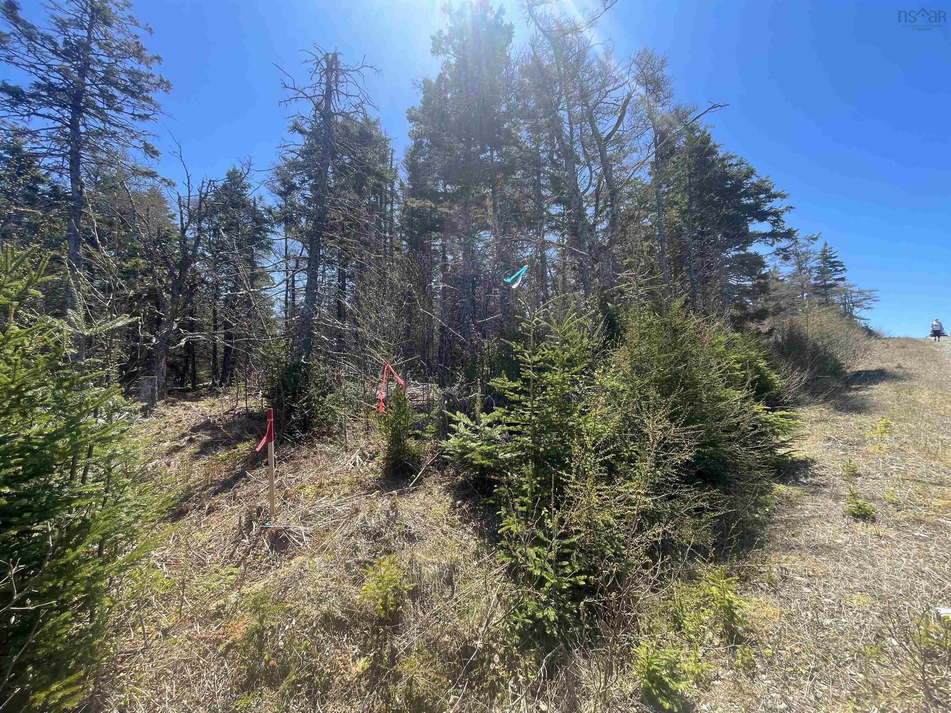 $78,000.00: Lot 24-10 Crooked Lake Road, Framboise