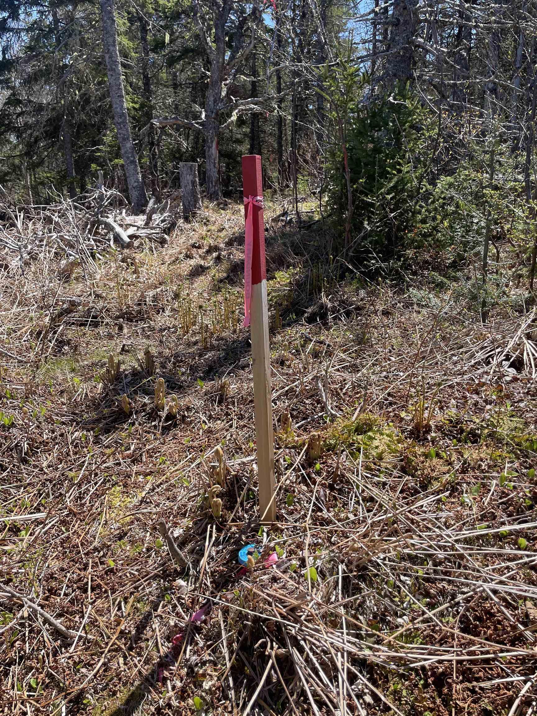 $78,000.00: Lot 24-10 Crooked Lake Road, Framboise