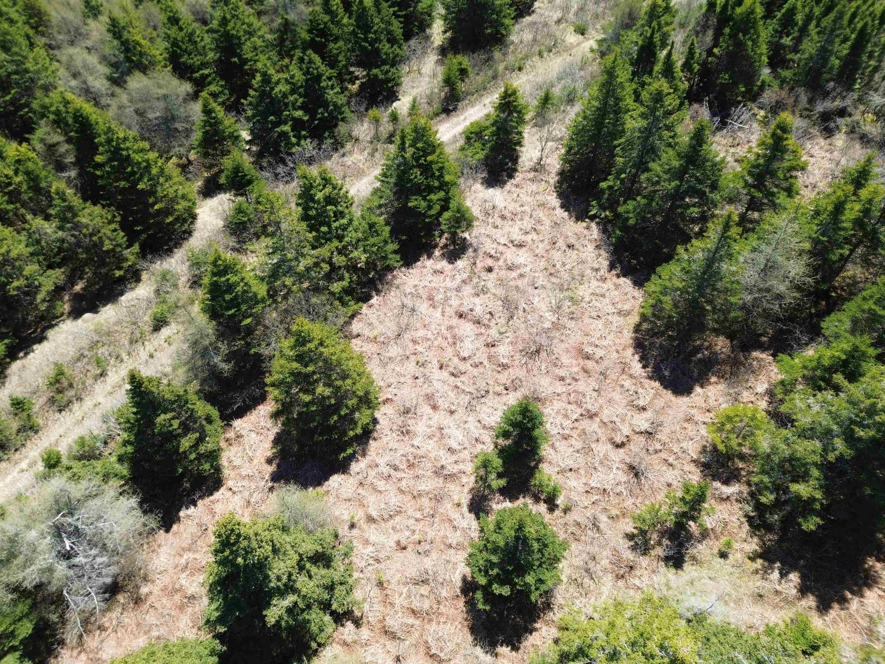 $78,000.00: Lot 24-10 Crooked Lake Road, Framboise
