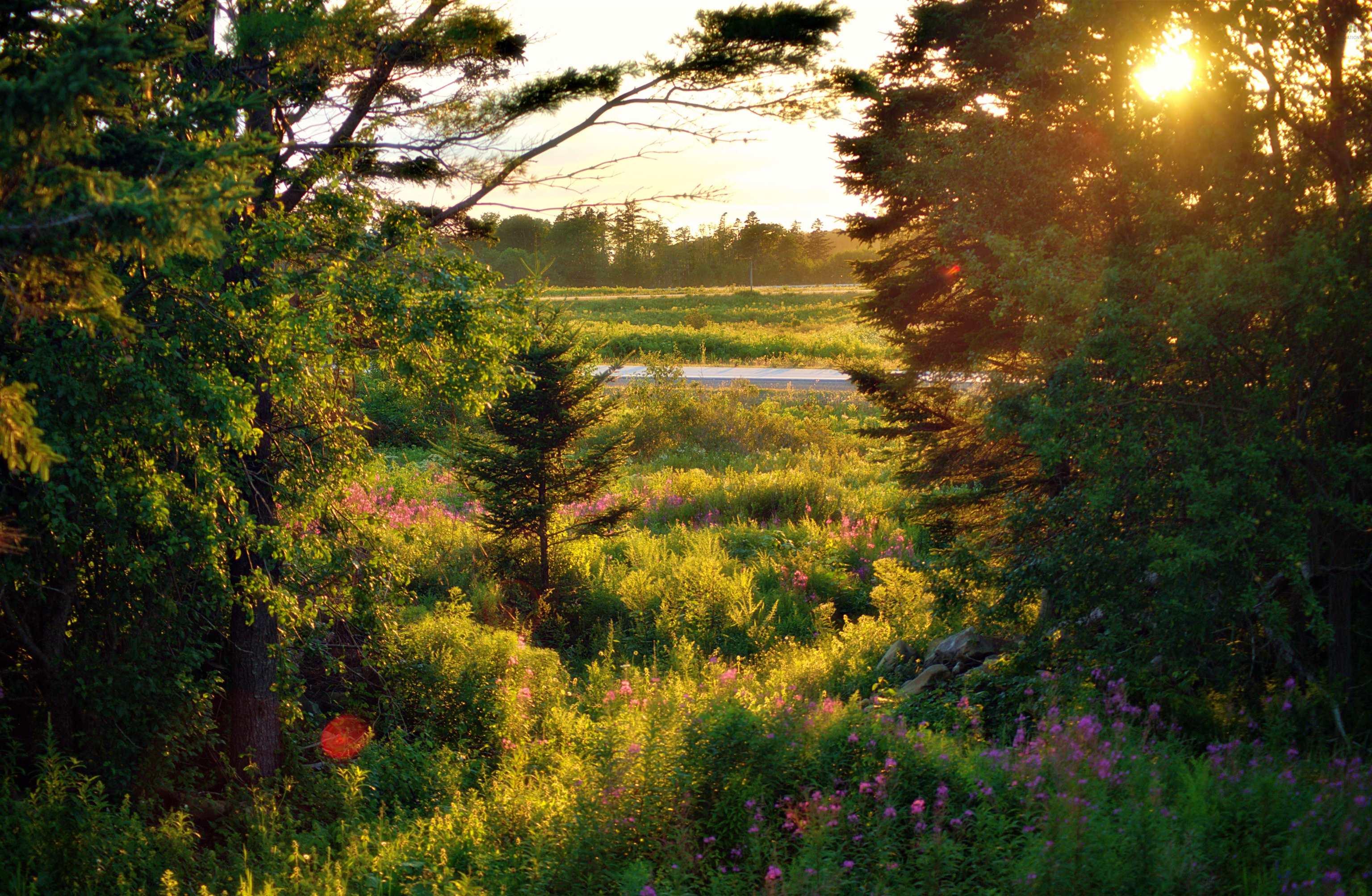 $379,900.00: 62 Lake Doucette Road, Lake Doucette