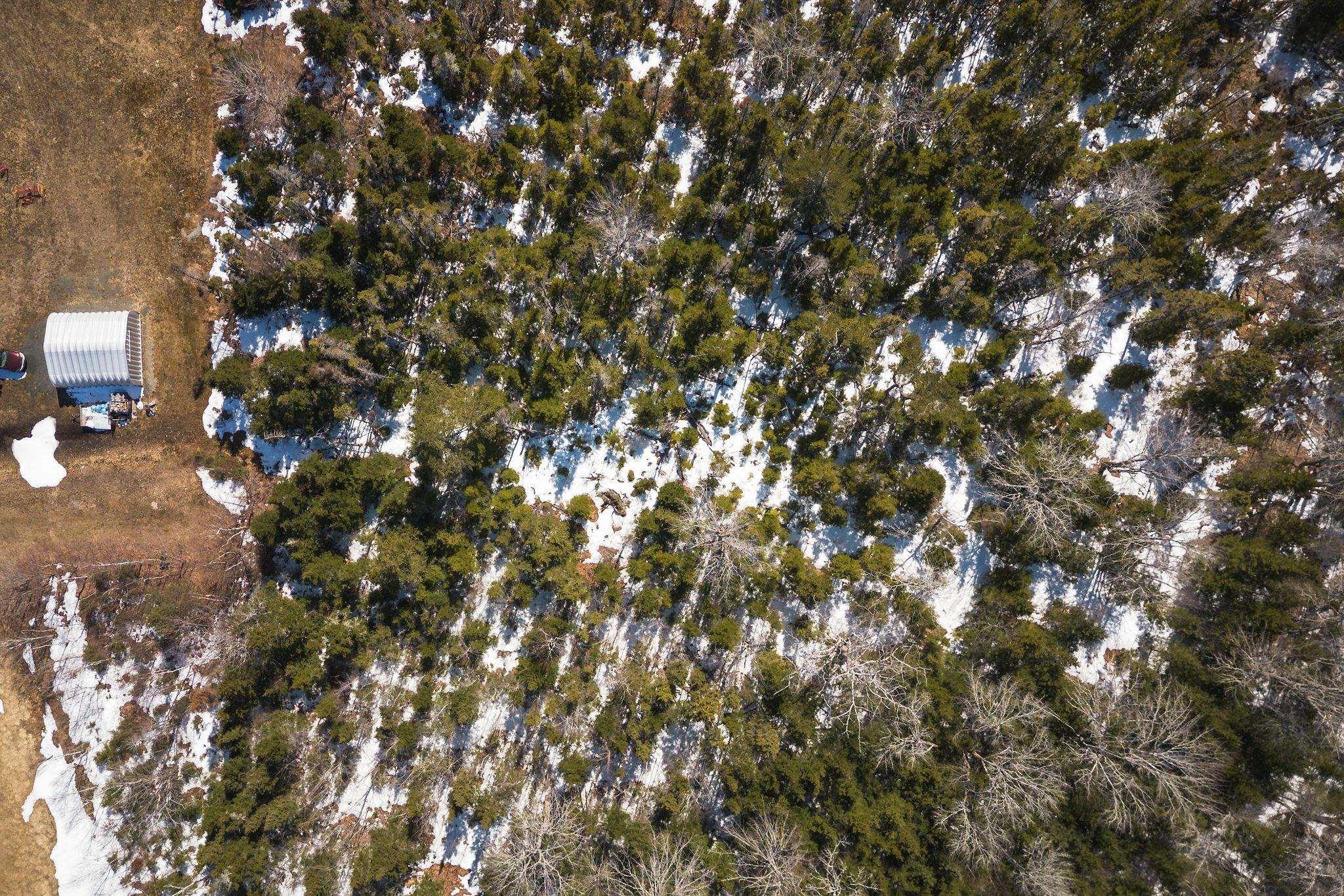 $88,000.00: Lot 15 Joseph MacFarlane Drive, South Side Whycocomagh