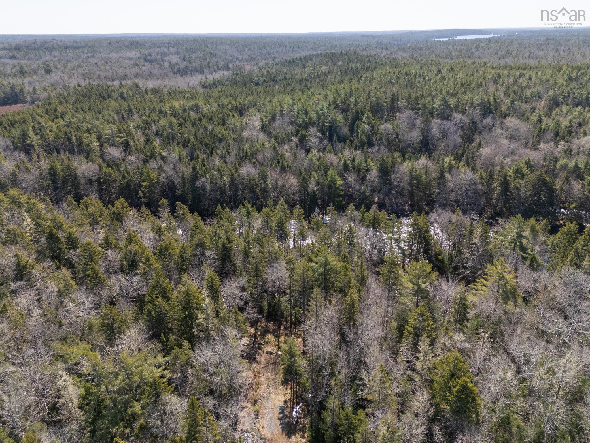 $59,000.00: Lot 17, Boutilier Branch Road, Kemptville