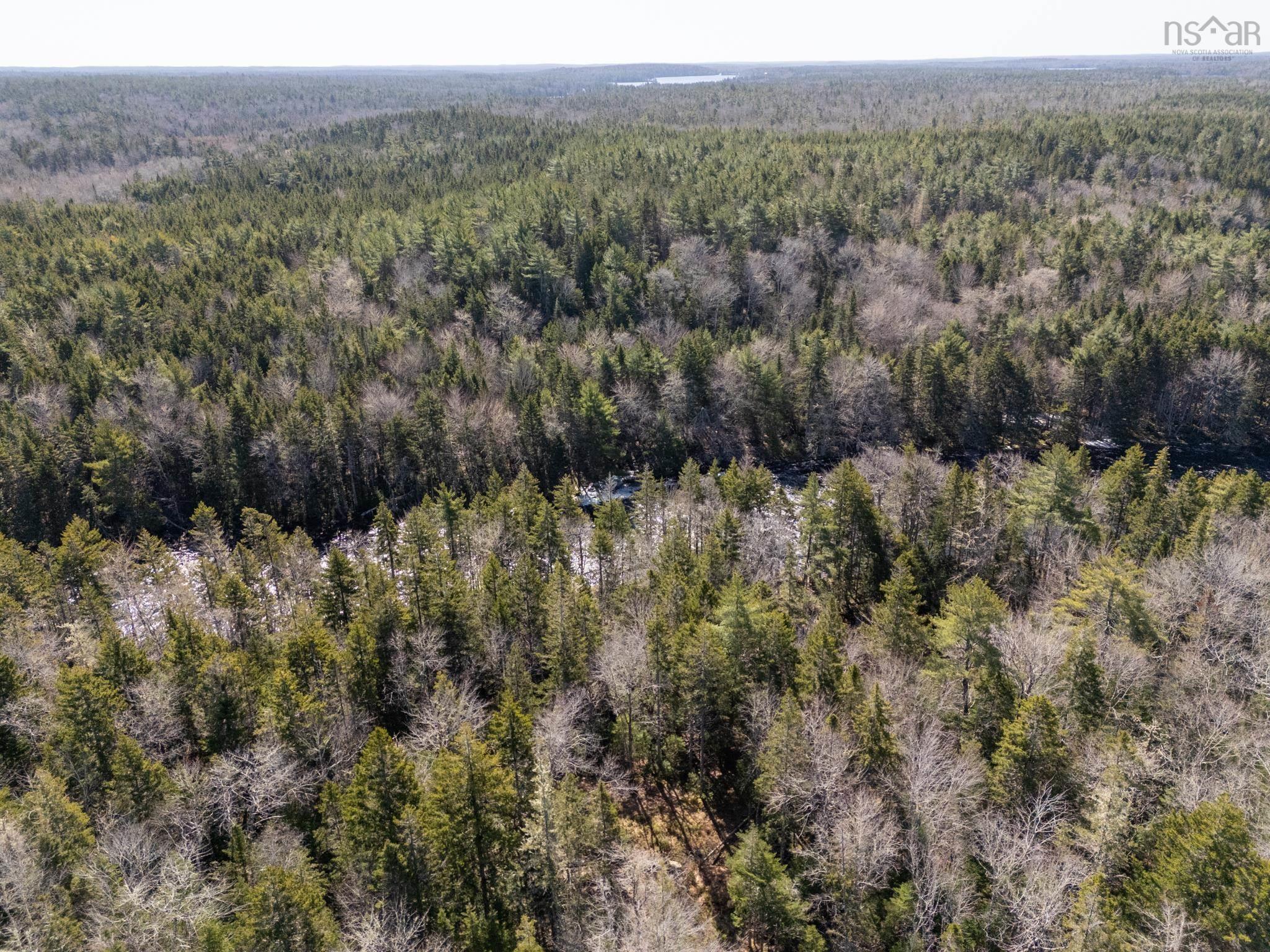 $59,000.00: Lot 17, Boutilier Branch Road, Kemptville