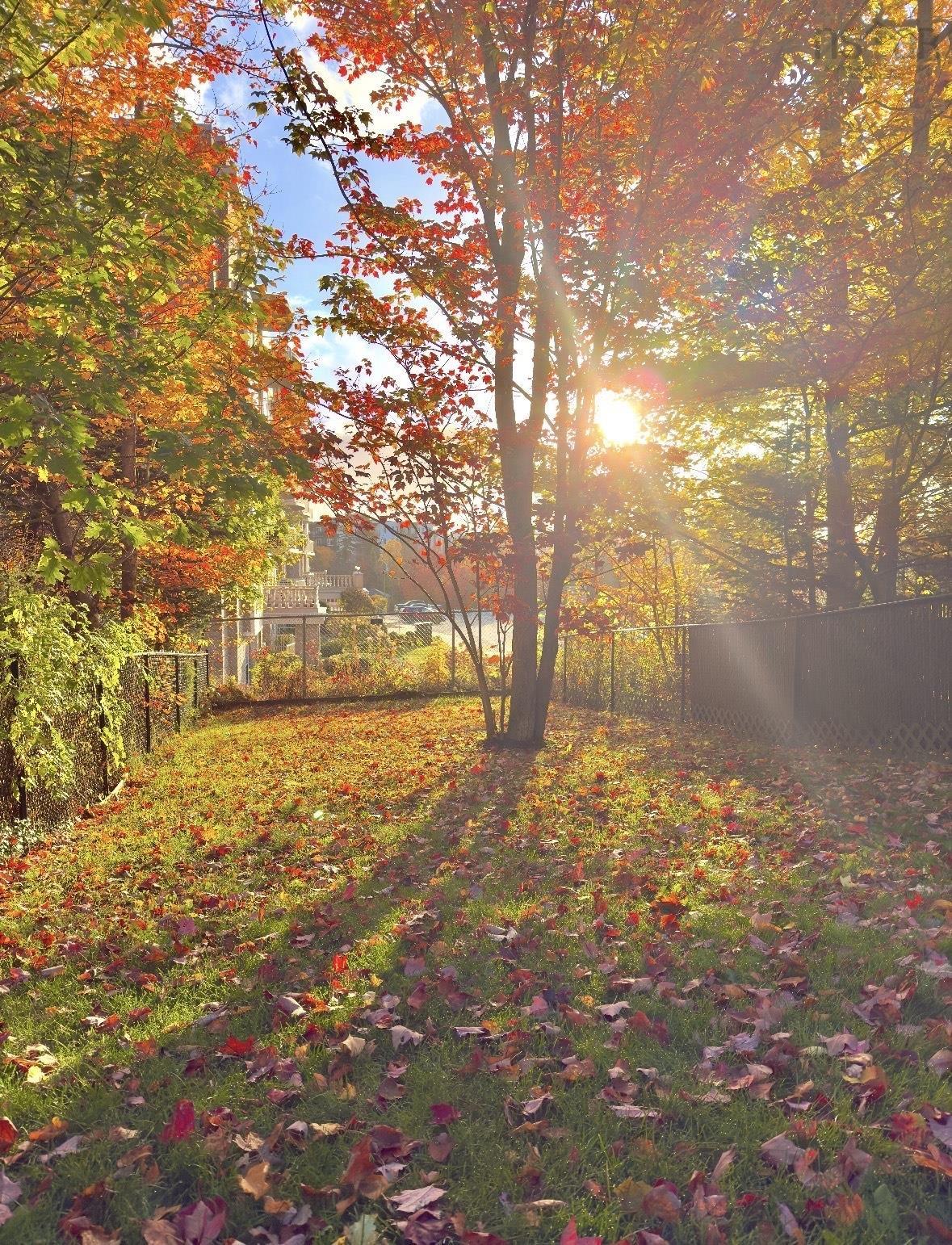 7 Morningfield Lane, Dartmouth, NS (MLS 202608074)