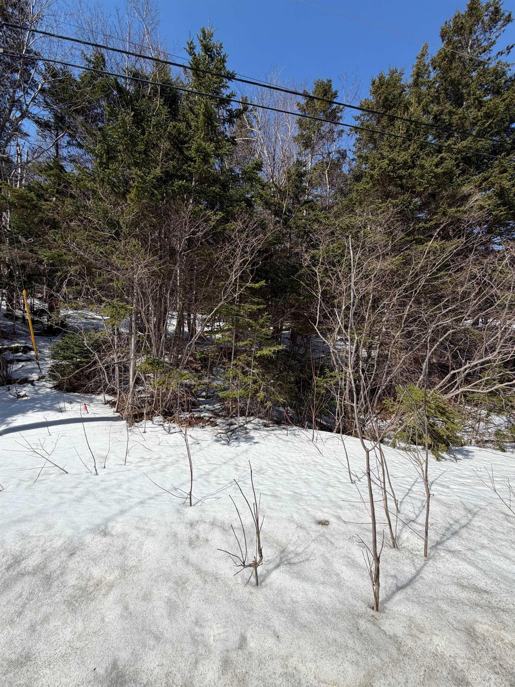 $37,000.00: Lot 19 Scotsville Rd, Kenloch, Nova Scotia, B0E 1N0, Kenloch