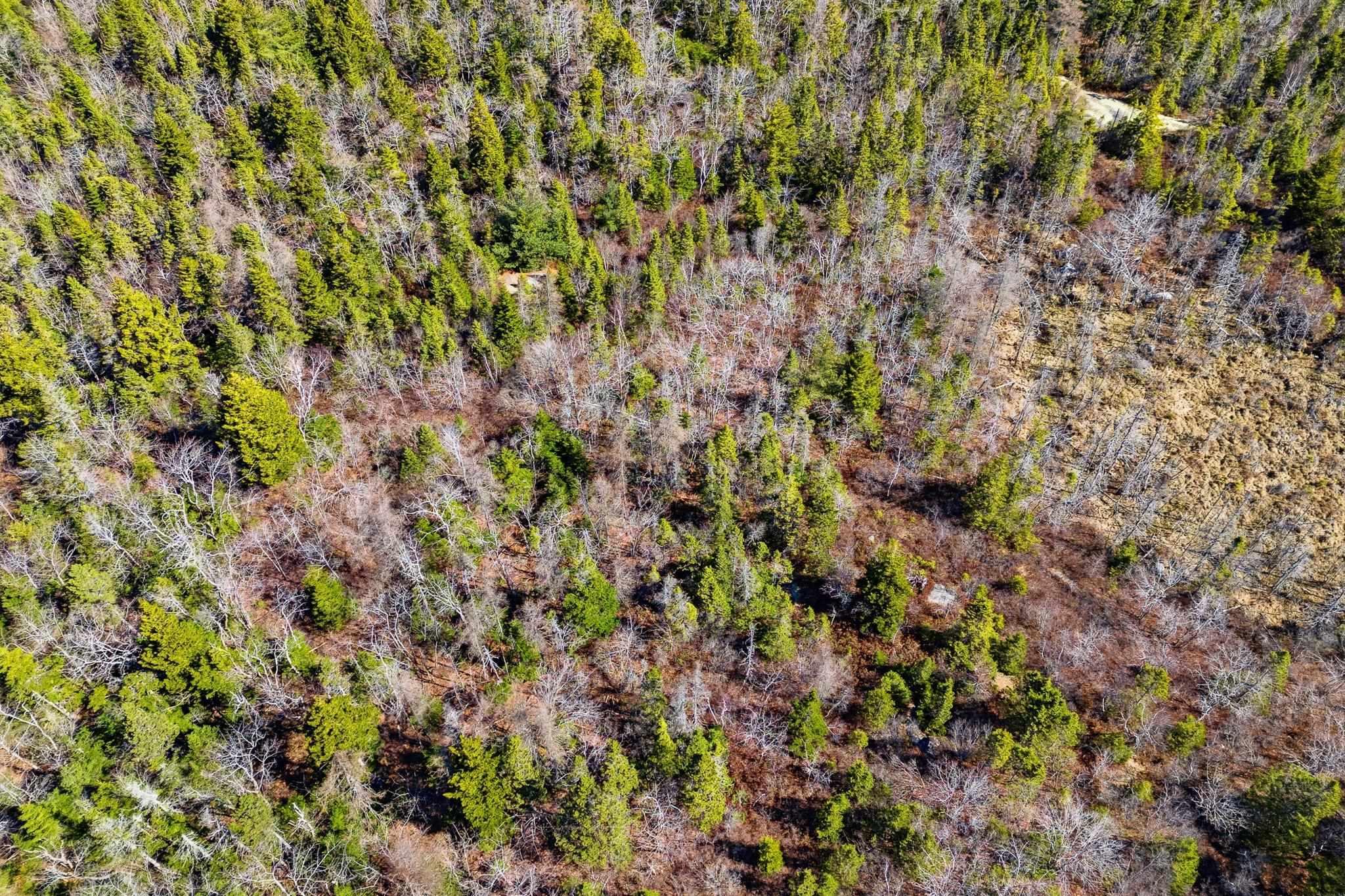 547 Herring Cove Road, Spryfield, NS (MLS 202608102)