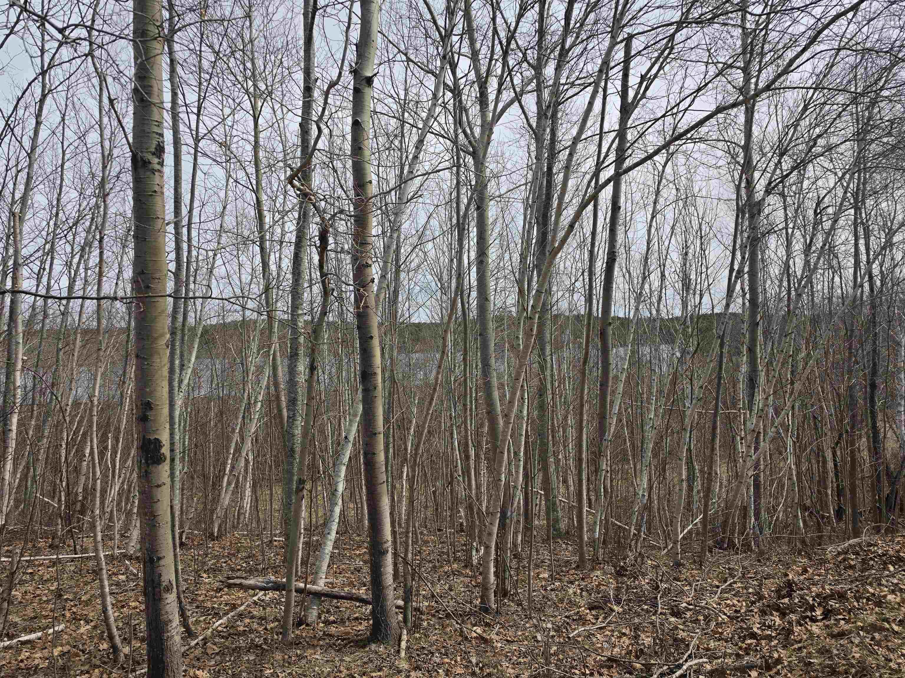 Parcel D Oakfield Park Access Road, Oakfield, NS (MLS® 202608114)