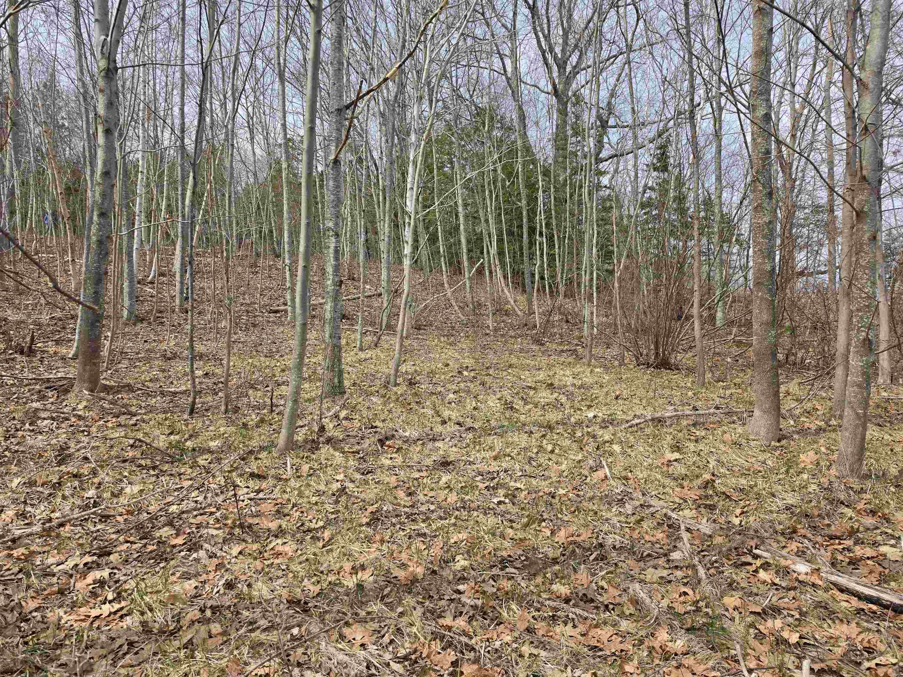 Parcel D Oakfield Park Access Road, Oakfield, NS (MLS 202608114)