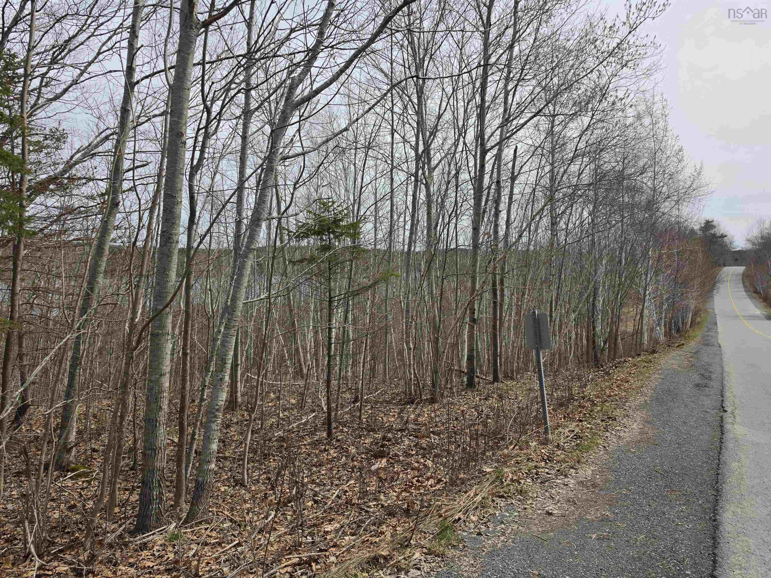 Parcel D Oakfield Park Access Road, Oakfield, NS (MLS 202608114)