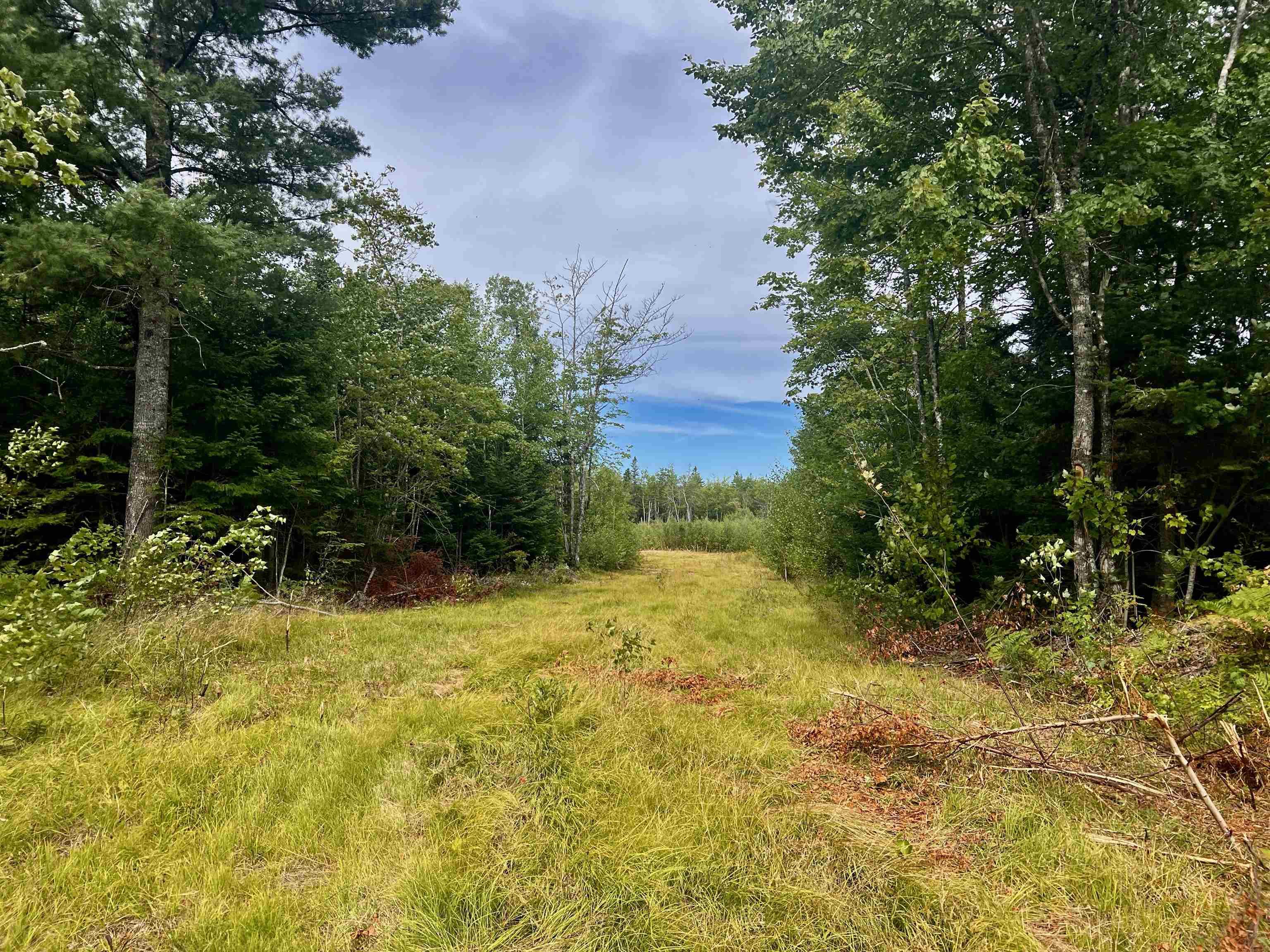 $69,000.00: Lot 9 Peck Meadow Road, Greenfield
