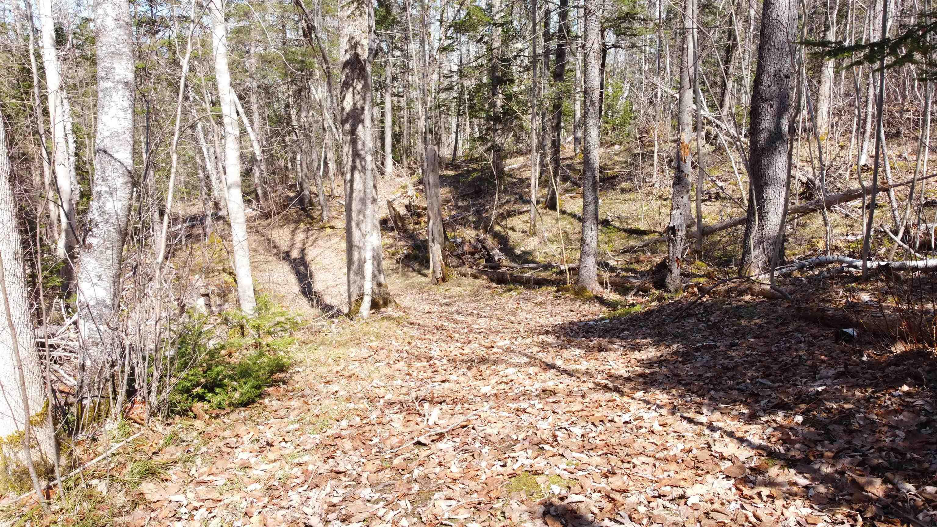 $59,900.00: 21 Lot Riverview Drive, Brooklyn