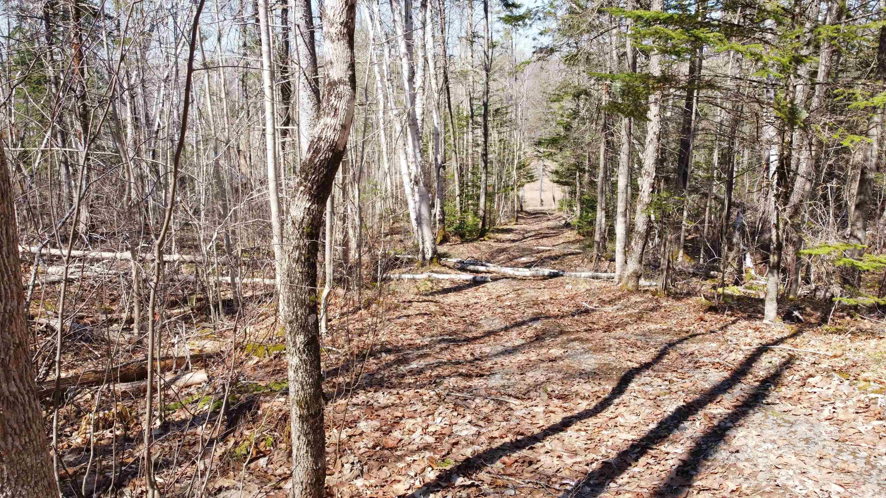 $59,900.00: 21 Lot Riverview Drive, Brooklyn