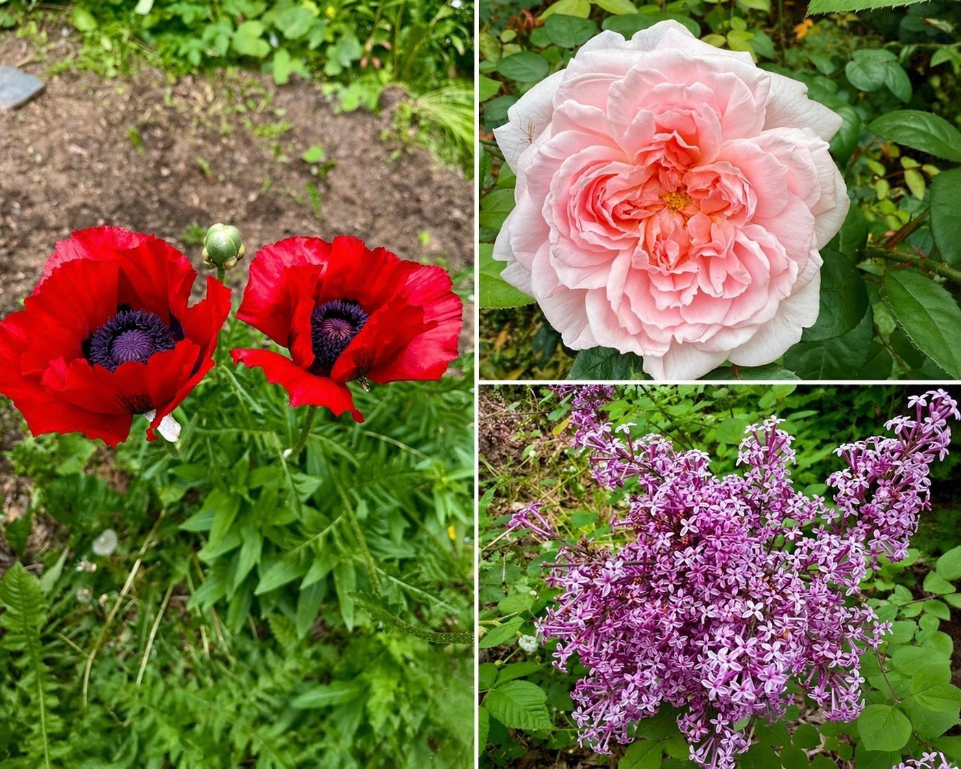 57 Beechcrest Drive, Waverley, NS (MLS 202608134)