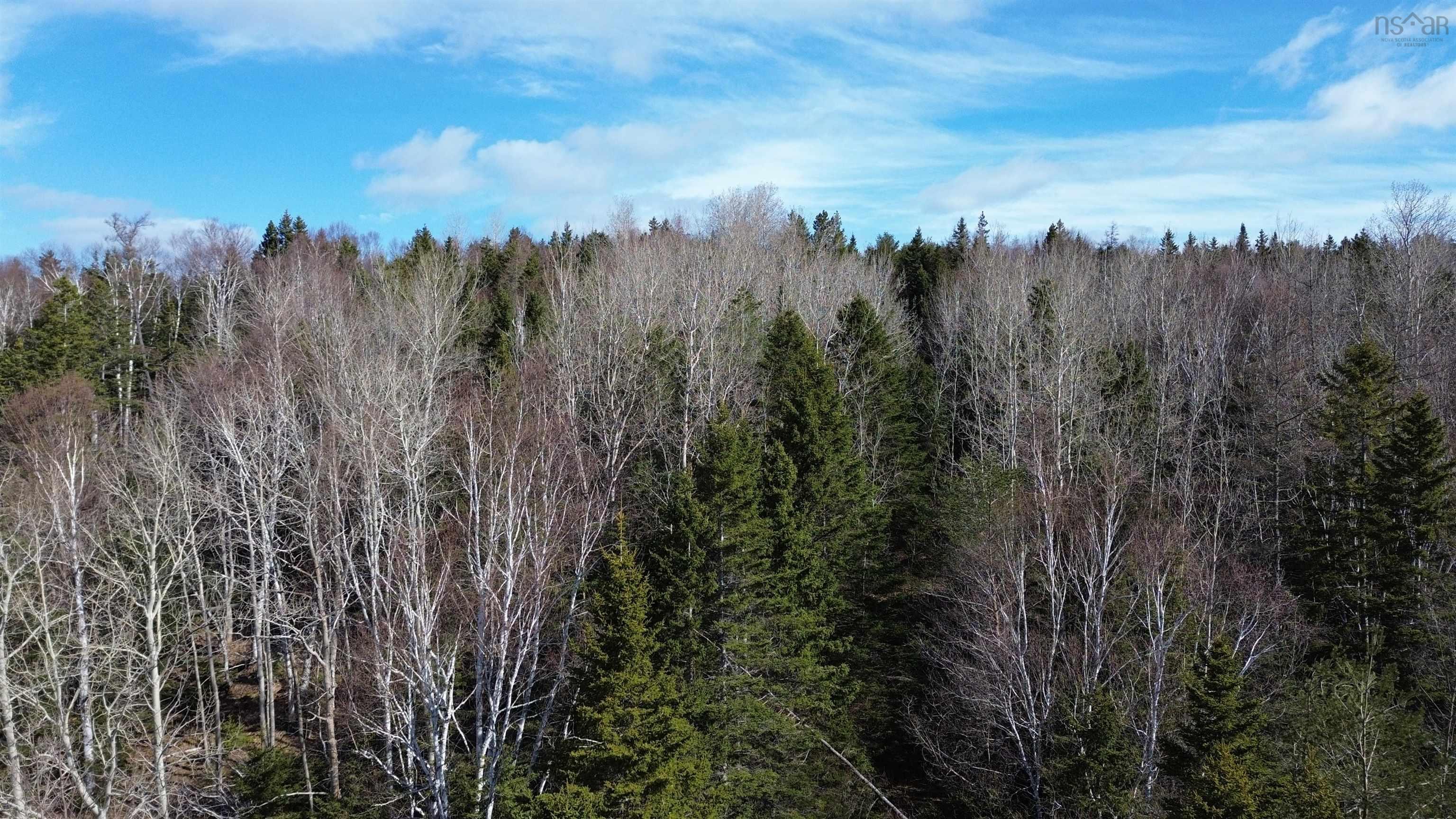 $68,000.00: Lot 1 NO 105 Highway, B0E 1B0, Inlet Baddeck