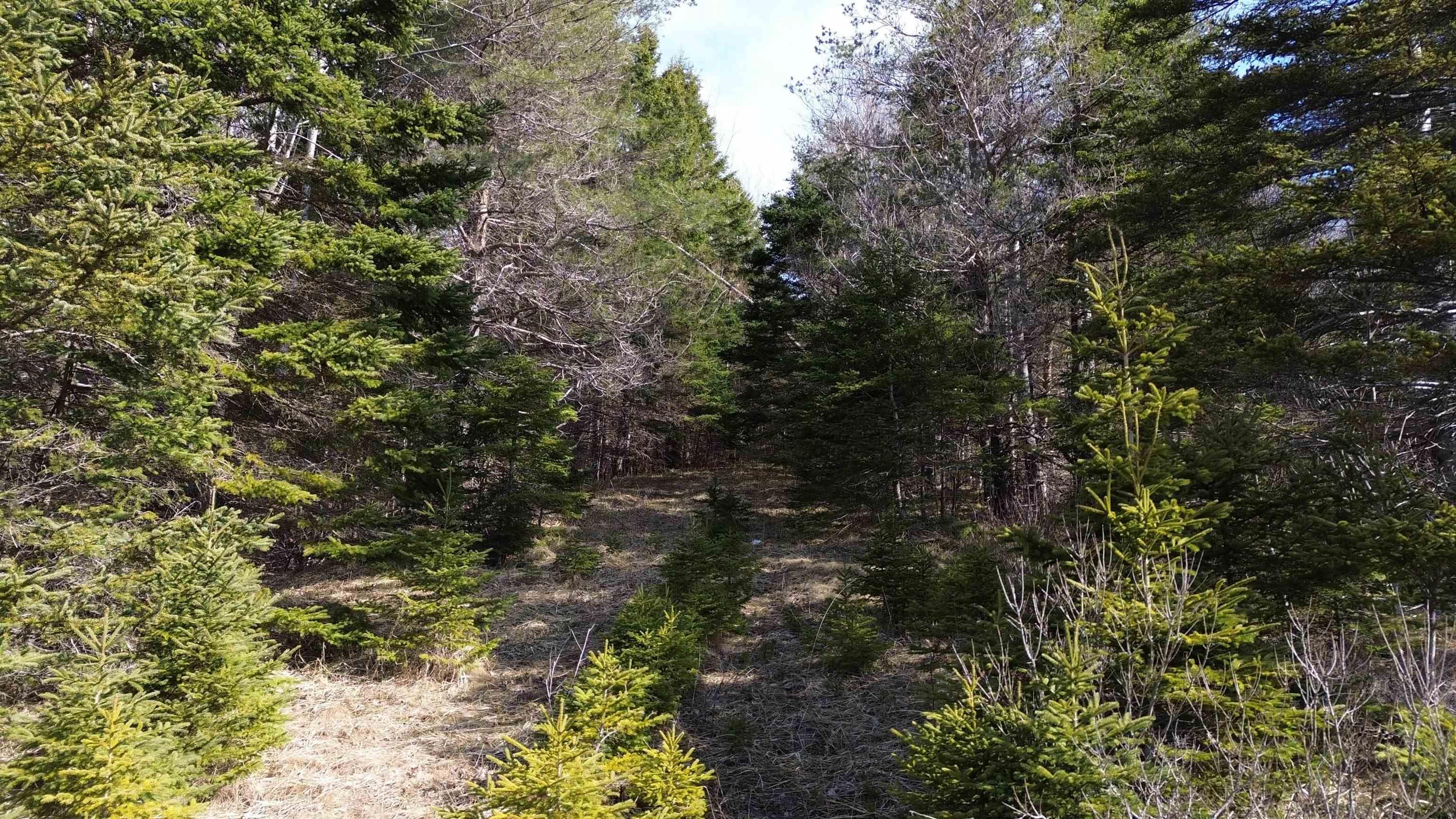 $68,000.00: Lot 1 NO 105 Highway, B0E 1B0, Inlet Baddeck