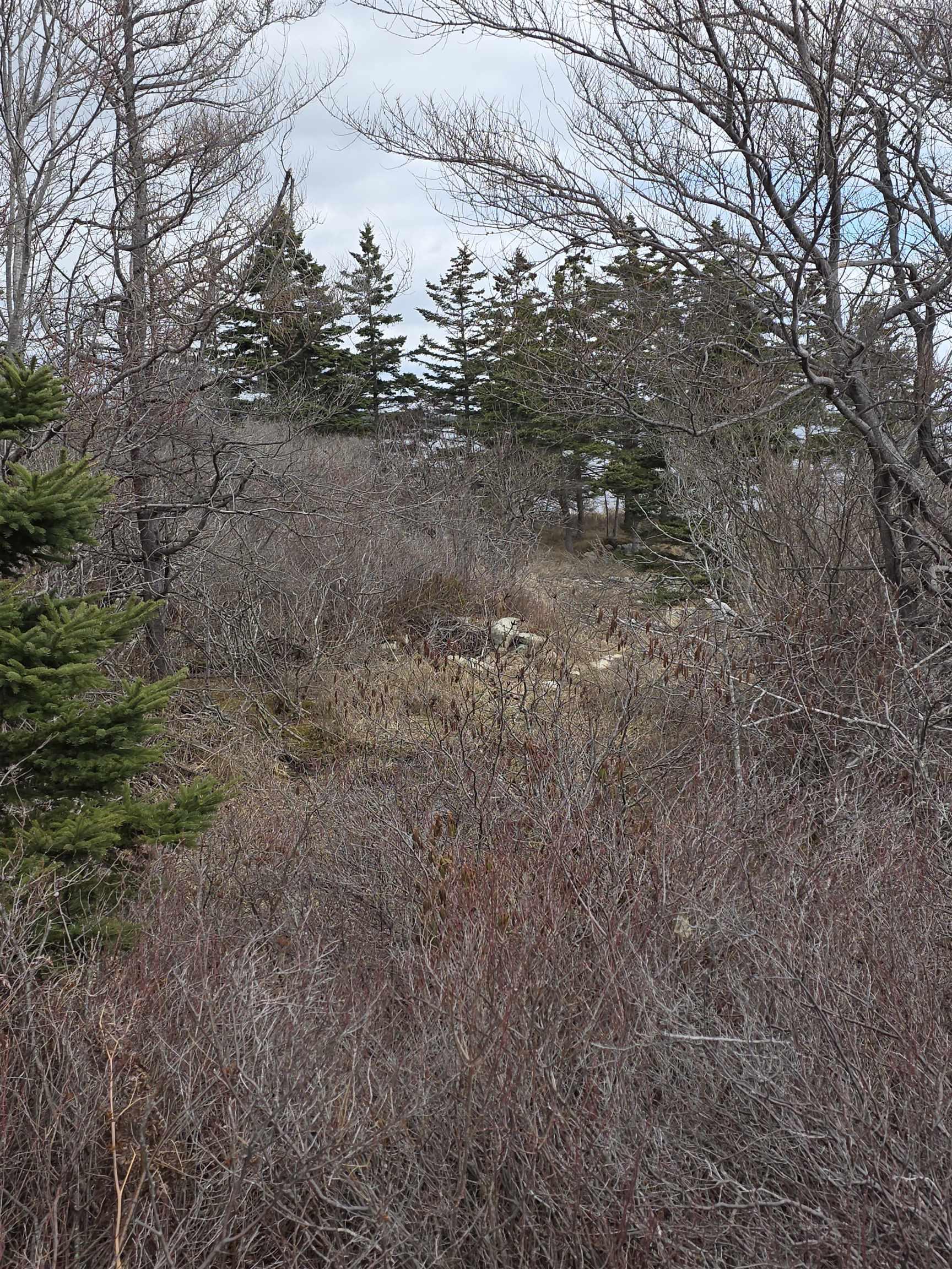 $199,000.00: 627 Long Cove Road, Port Medway