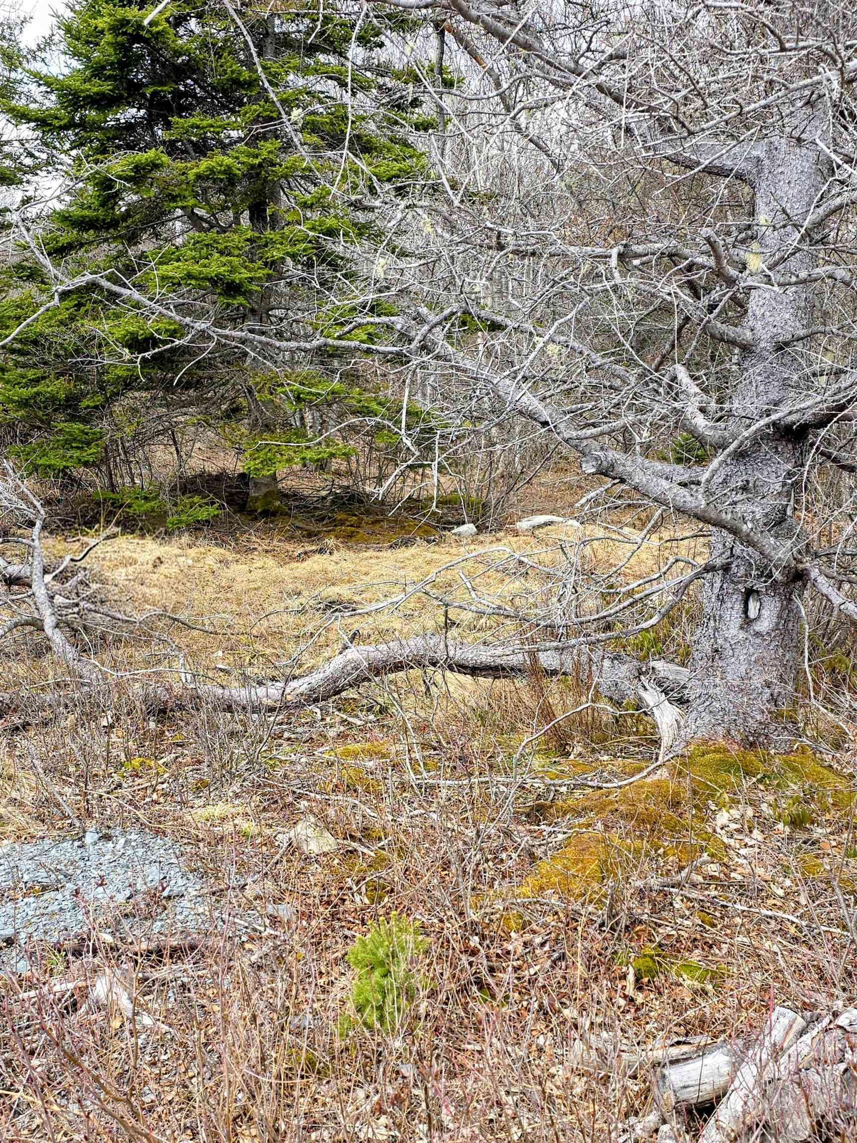 $199,000.00: 627 Long Cove Road, Port Medway