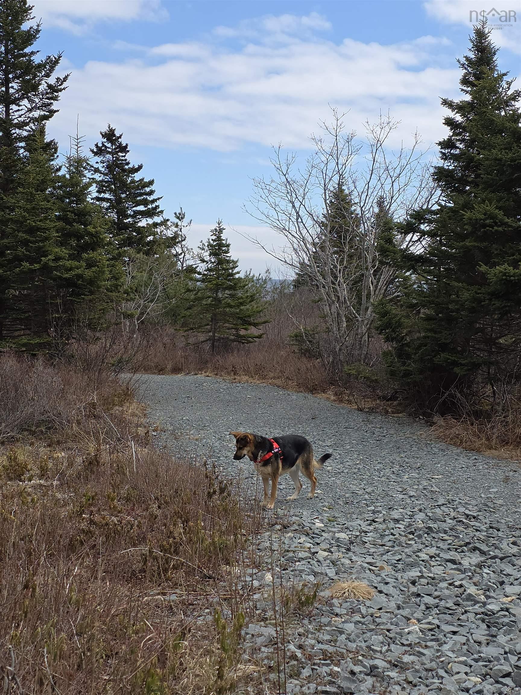 $199,000.00: 627 Long Cove Road, Port Medway