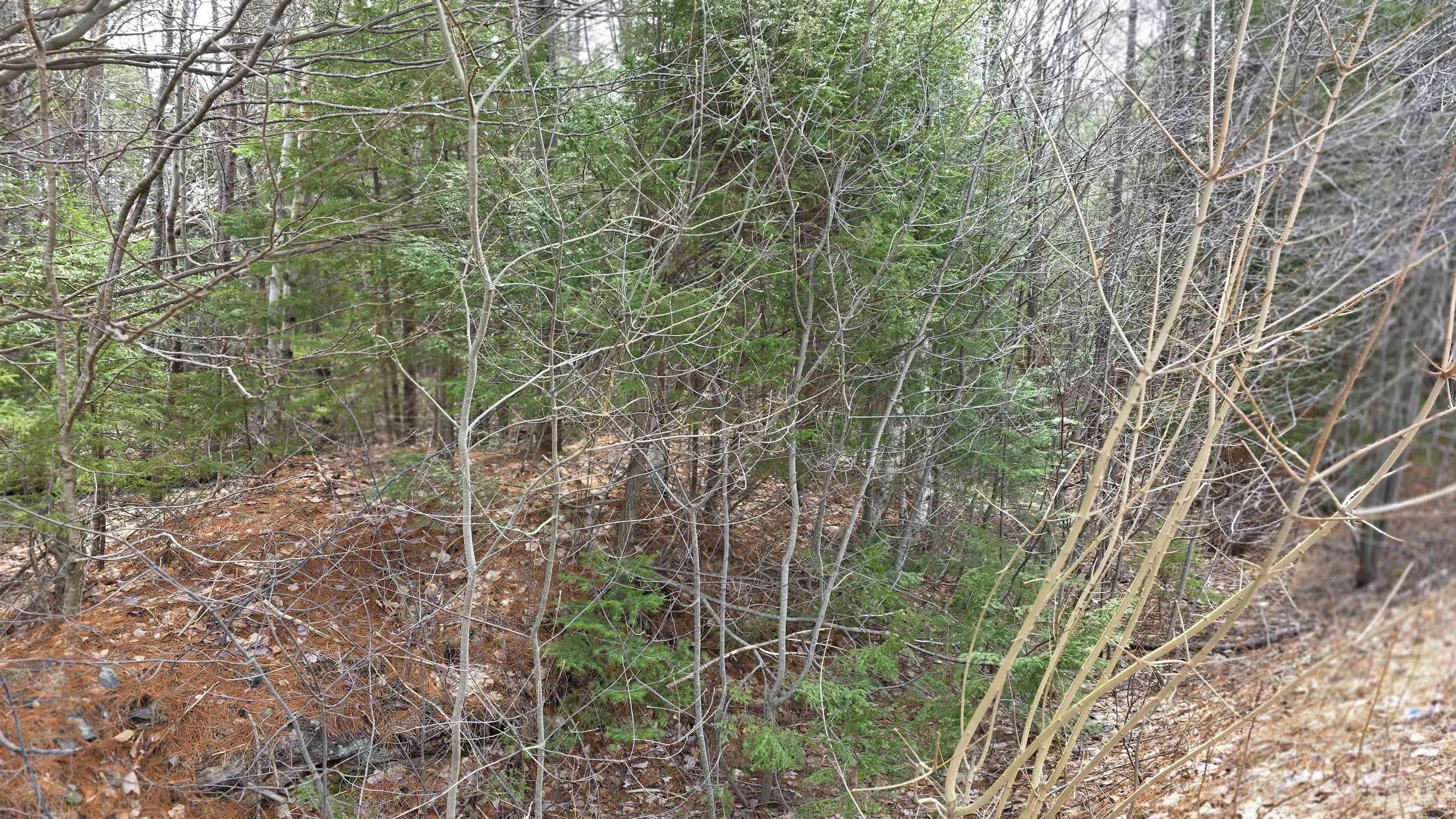 $209,999.00: 169 Salmon River Drive, Westphal