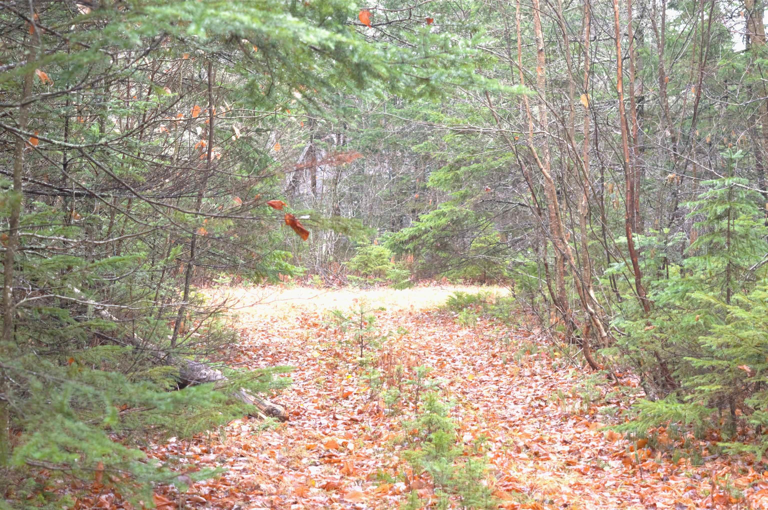 $99,900.00: 1300 Corkum And Burns Road, Black River