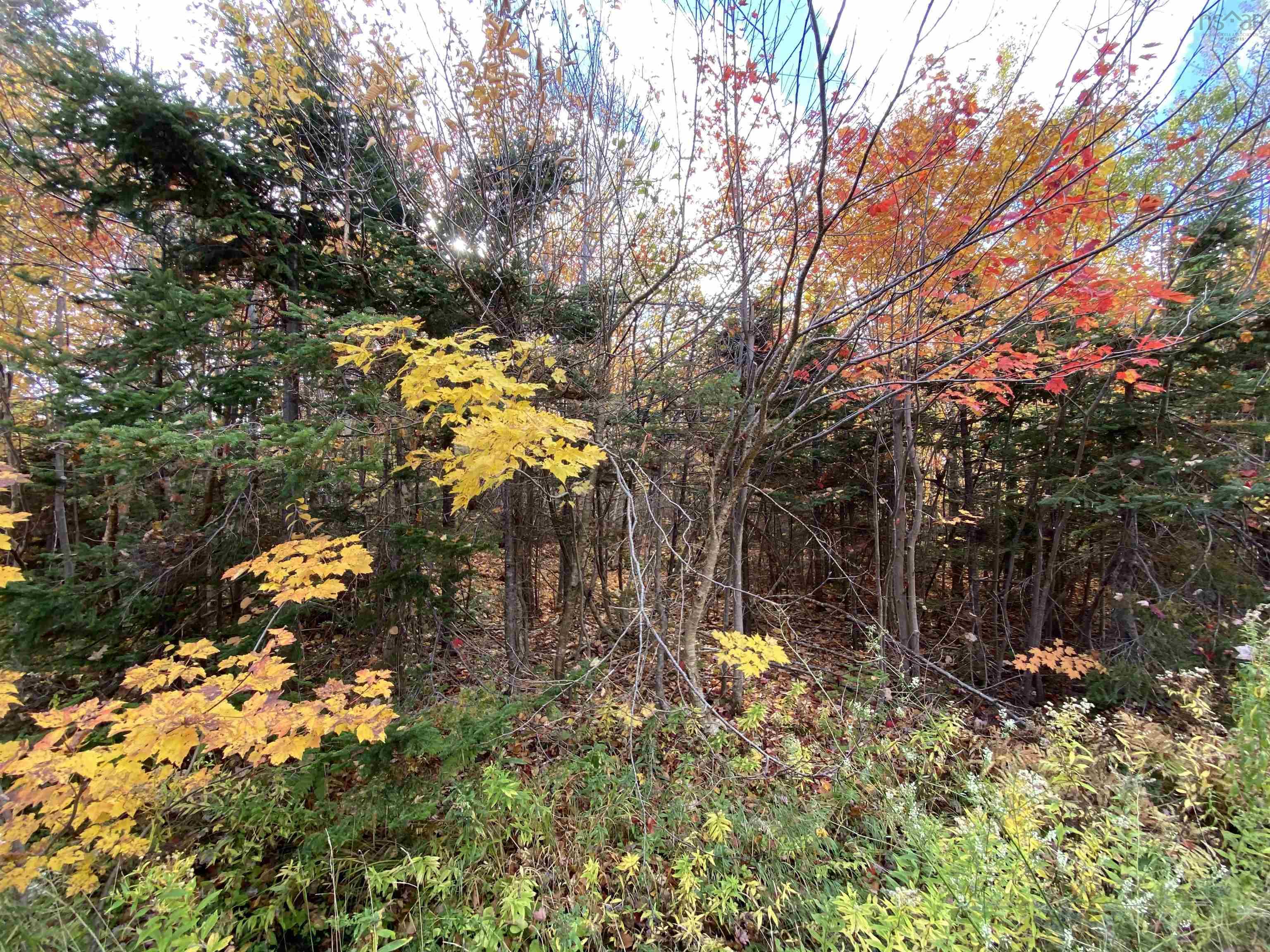 $39,500.00: St. James Road, Big Bras D