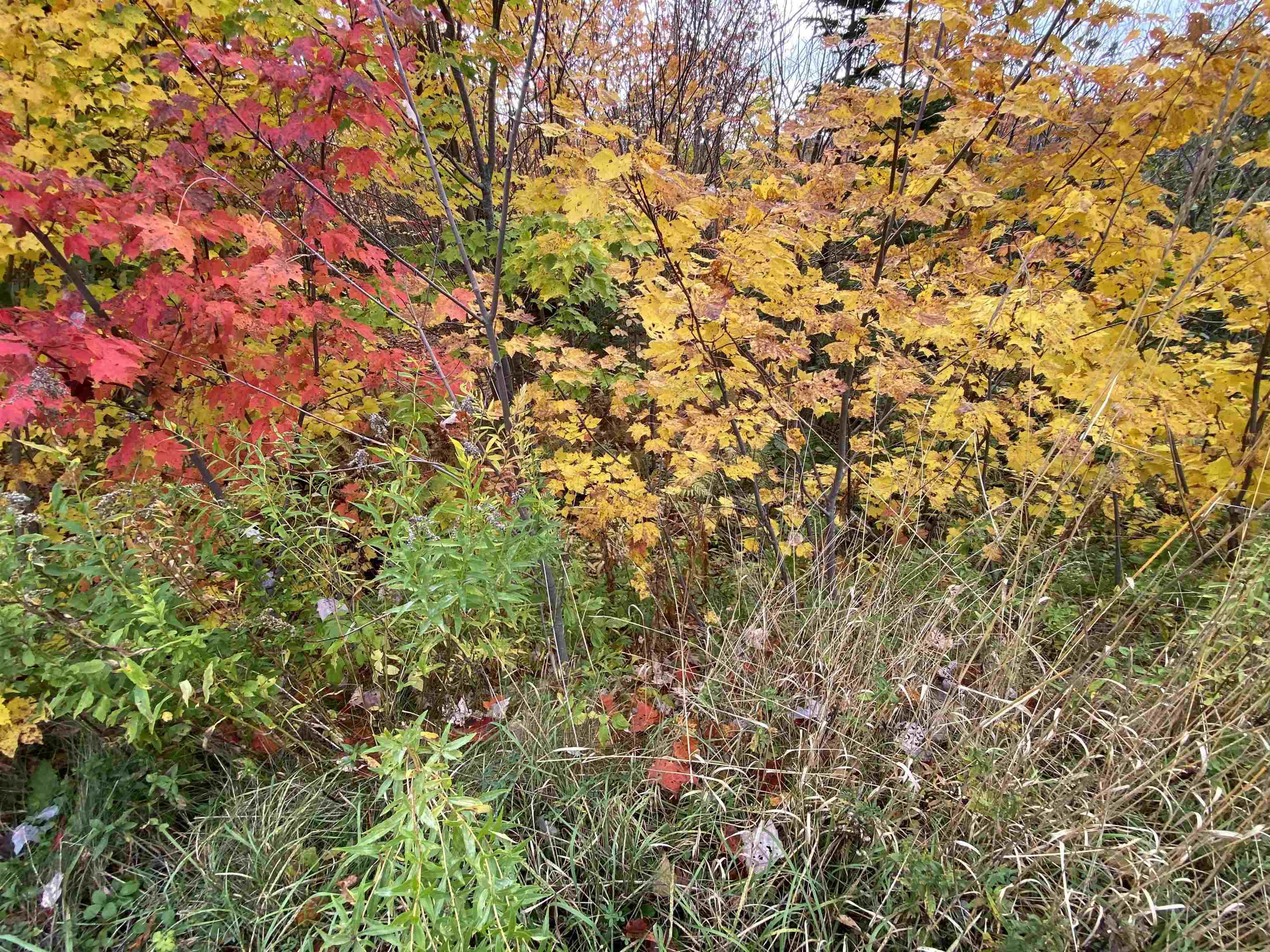 $39,500.00: St. James Road, Big Bras D