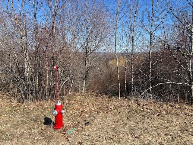 $52,000.00: Lot 2 Alder Drive, Hantsport
