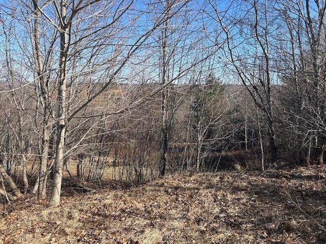 $52,000.00: Lot 3 Alder Drive, Hantsport
