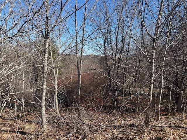 $52,000.00: Lot 4 Alder Drive, Hantsport