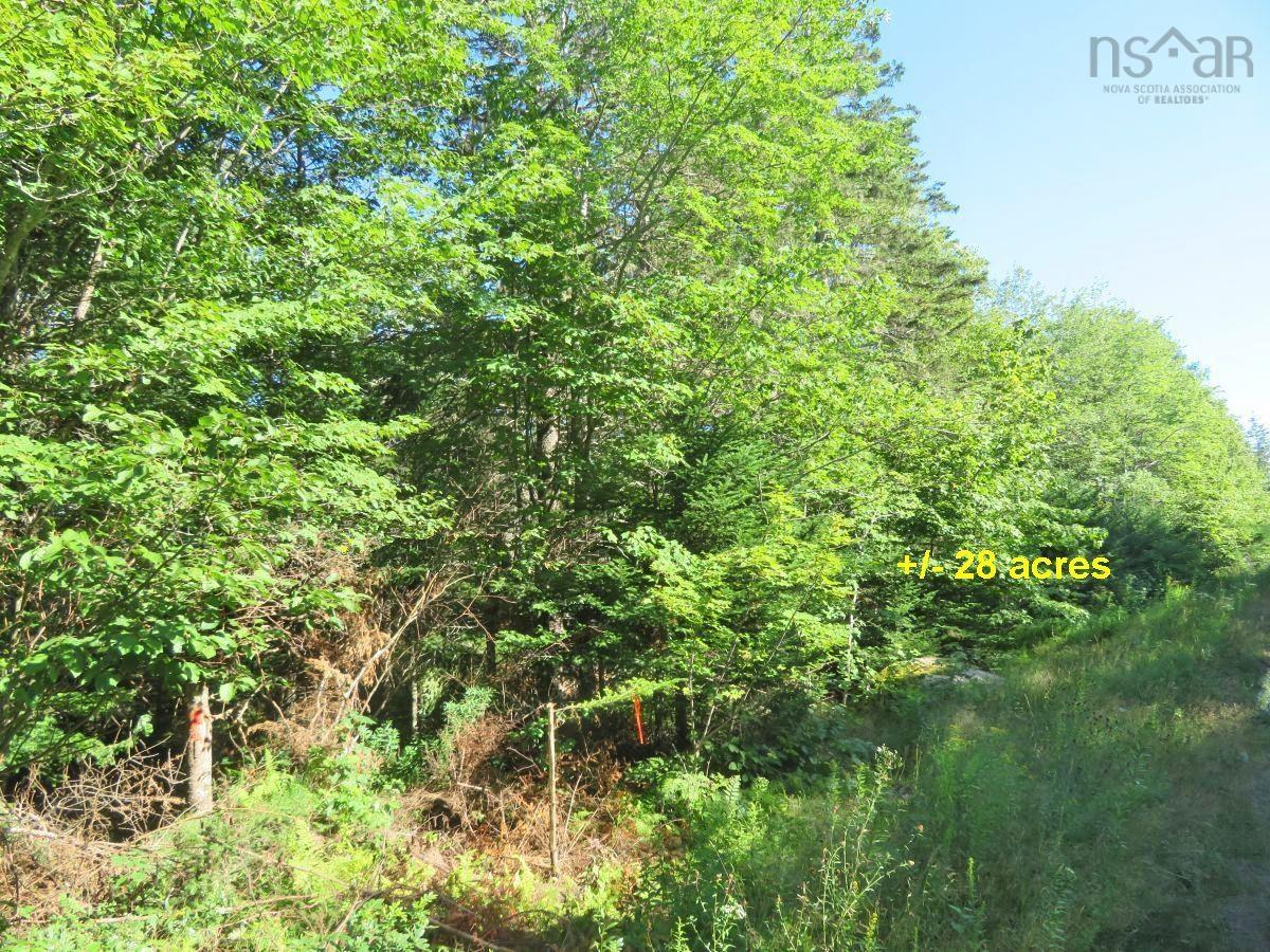 $98,000.00: 2 Lots Lower River Road, Hureauville