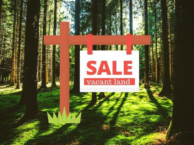 $24,000.00: Lot A16 Birchwood Trail, Cheverie