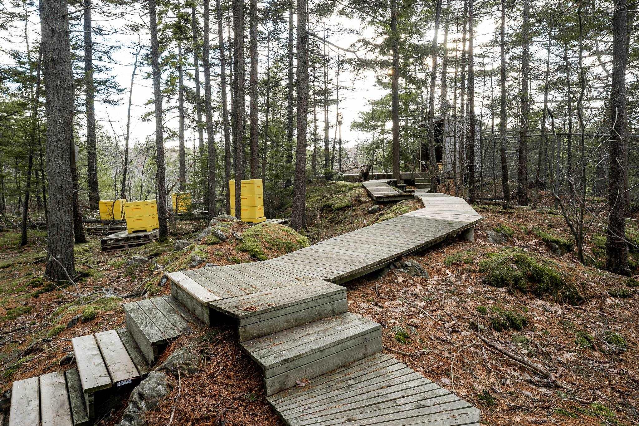 12 Falcon Place, Halifax, NS (MLS 202608229)