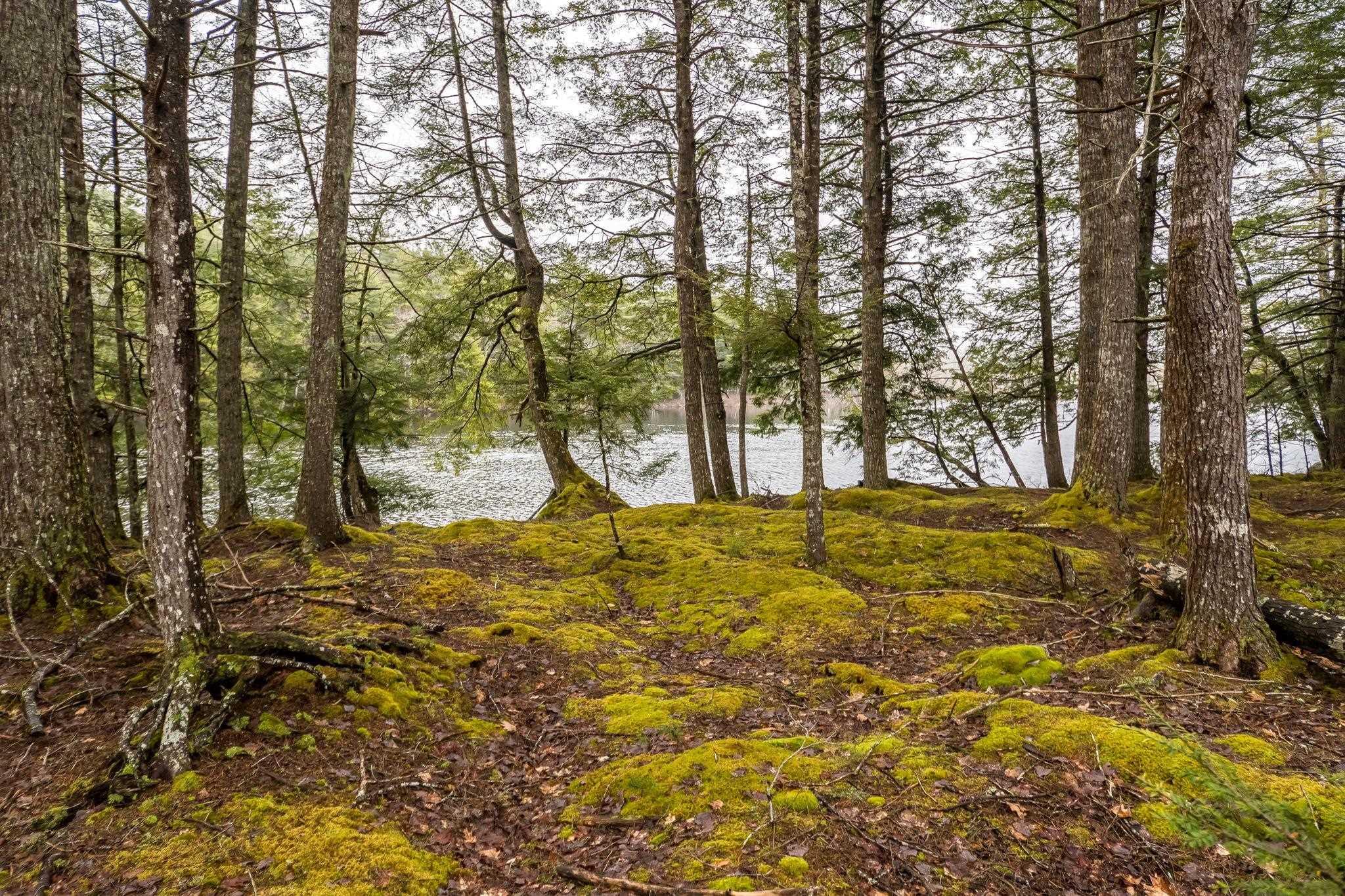 $419,000.00: 87 Edith