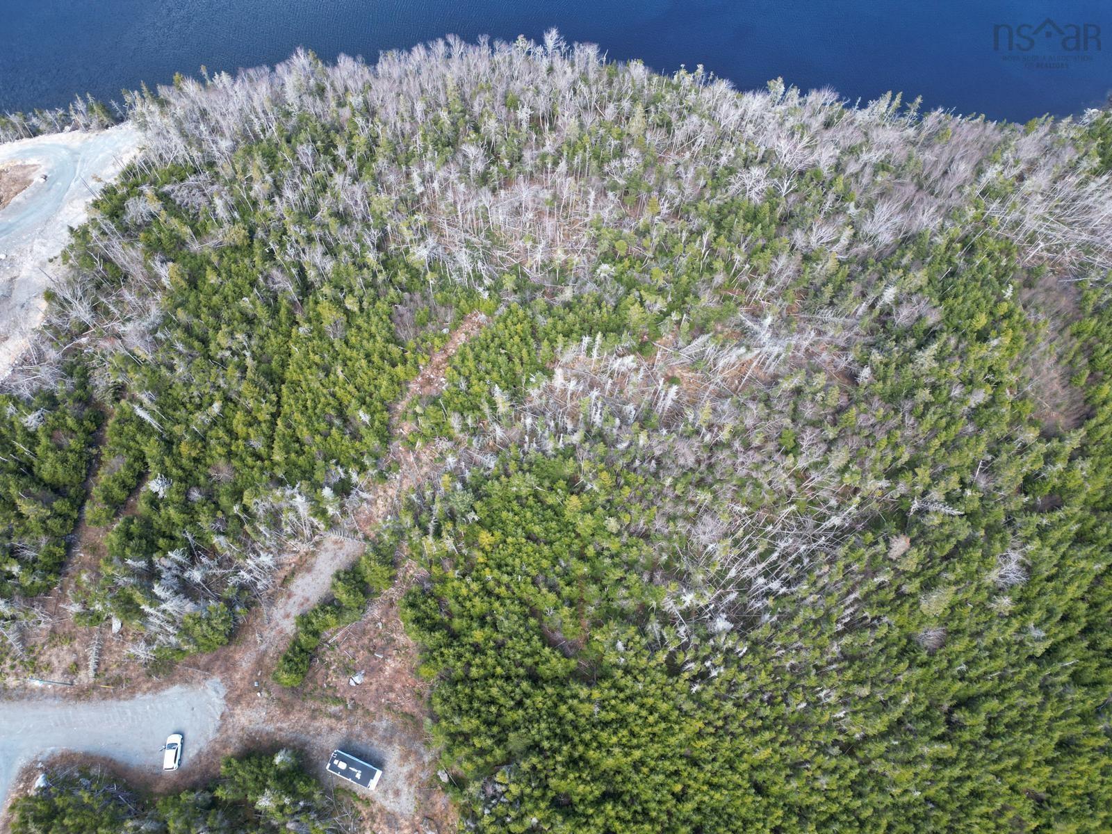 $160,000.00: Lot-1A Highway 7, Salmon River Bridge