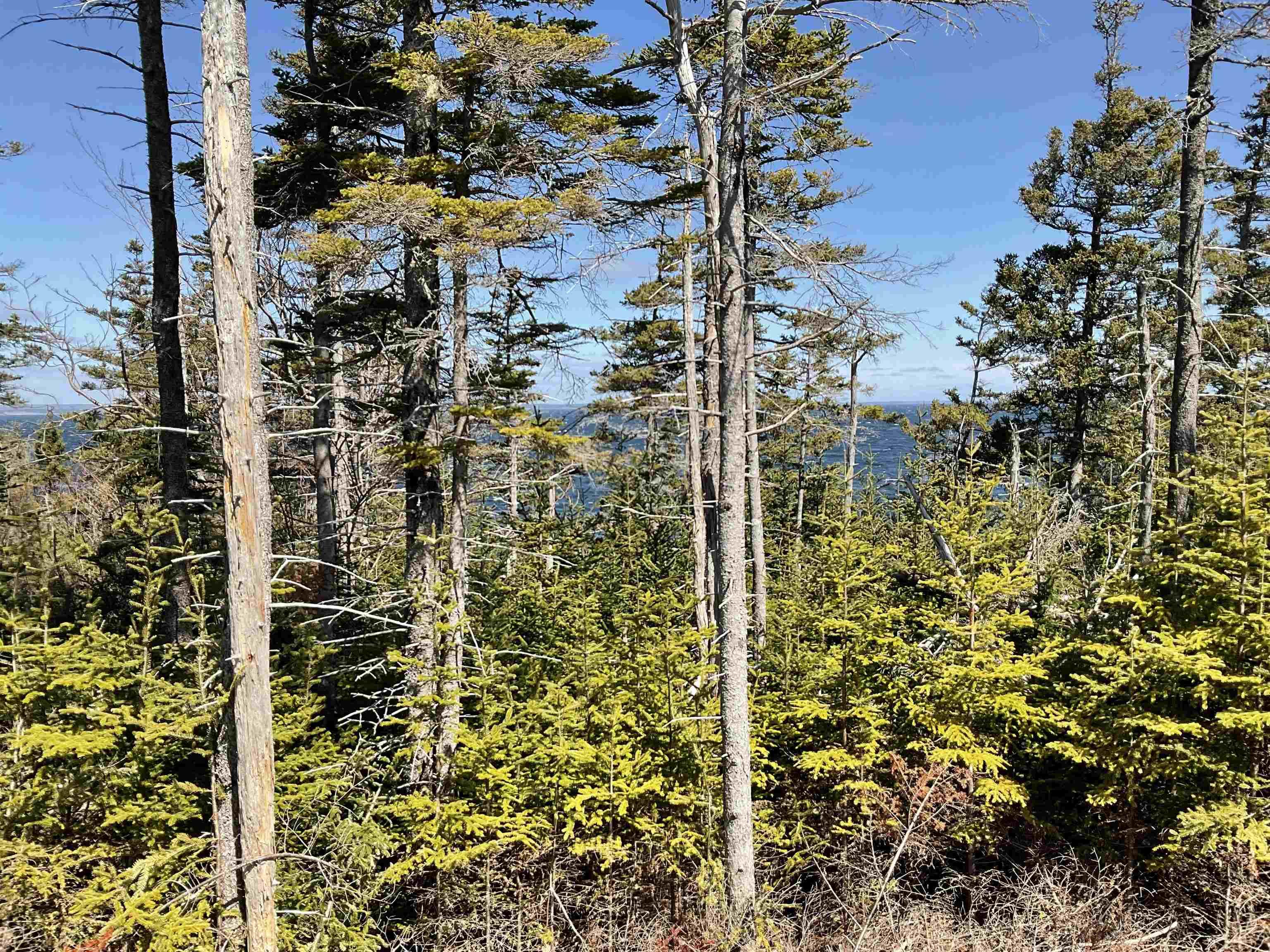 $110,000.00: 23-1 Hendsbee Wharf Road, Phillips Harbour