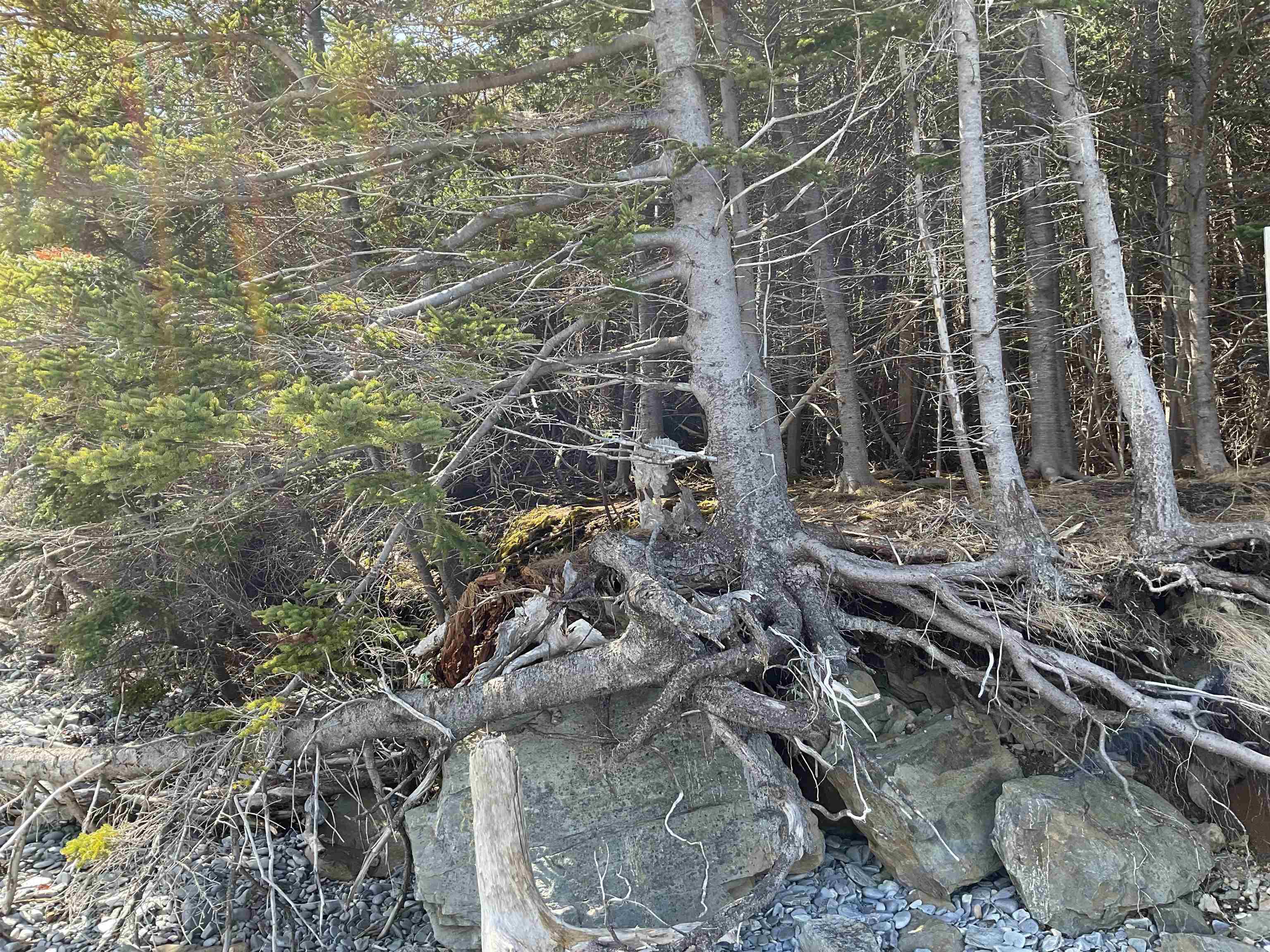 $110,000.00: 23-3 Hendsbee Wharf Road, Phillips Harbour