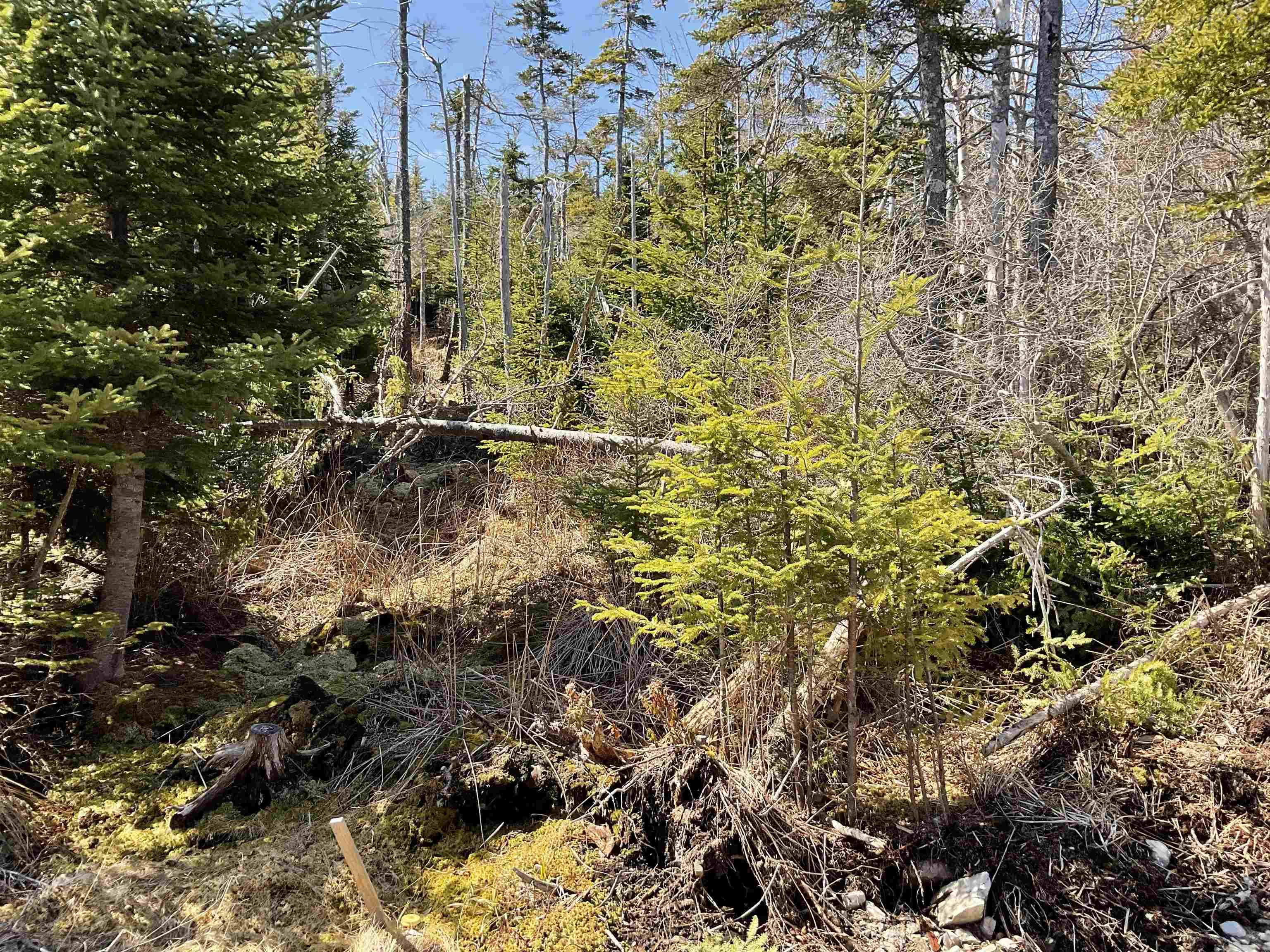 $110,000.00: 23-3 Hendsbee Wharf Road, Phillips Harbour