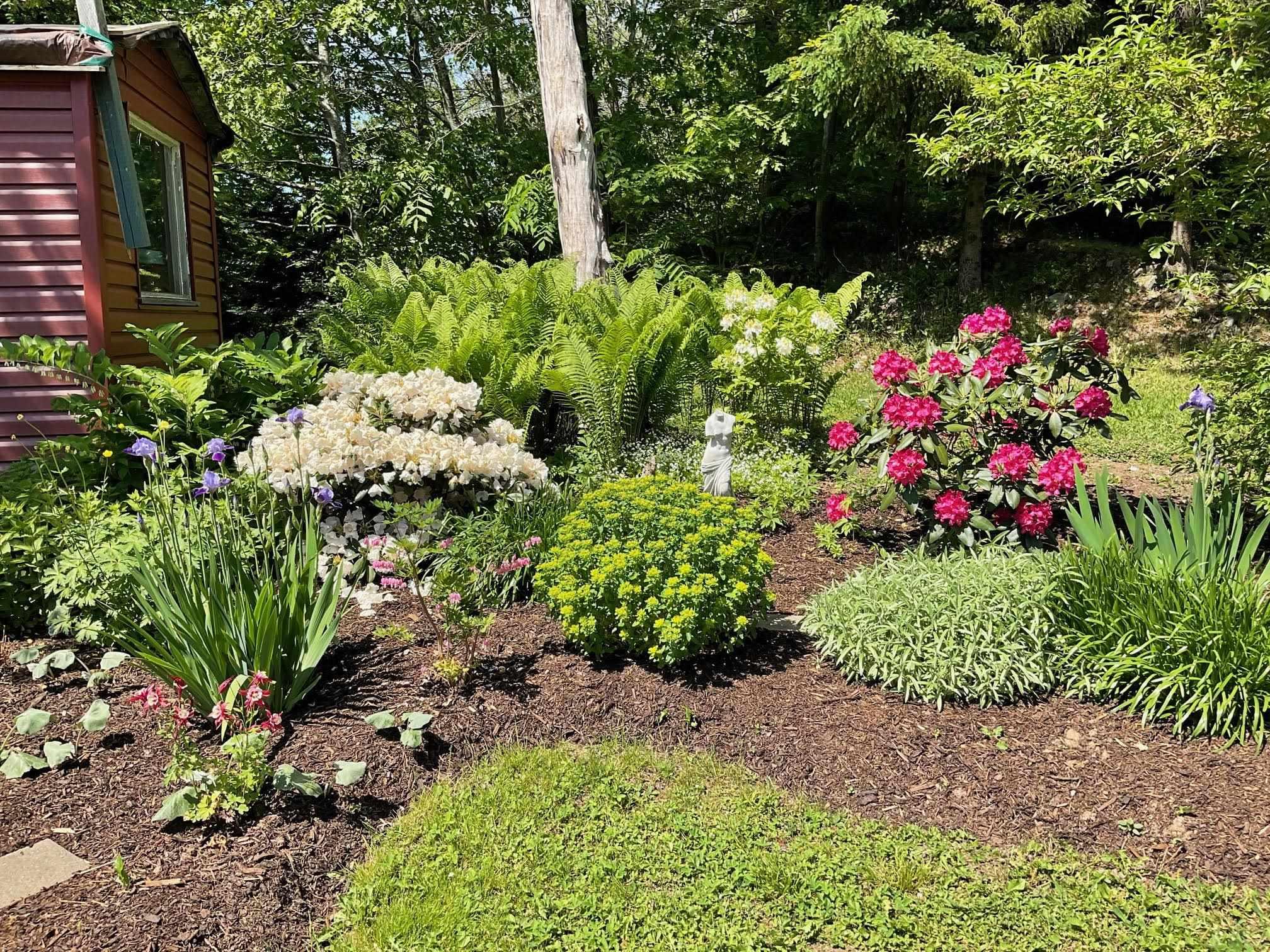 459 Waverley Road, Dartmouth, NS (MLS 202608297)