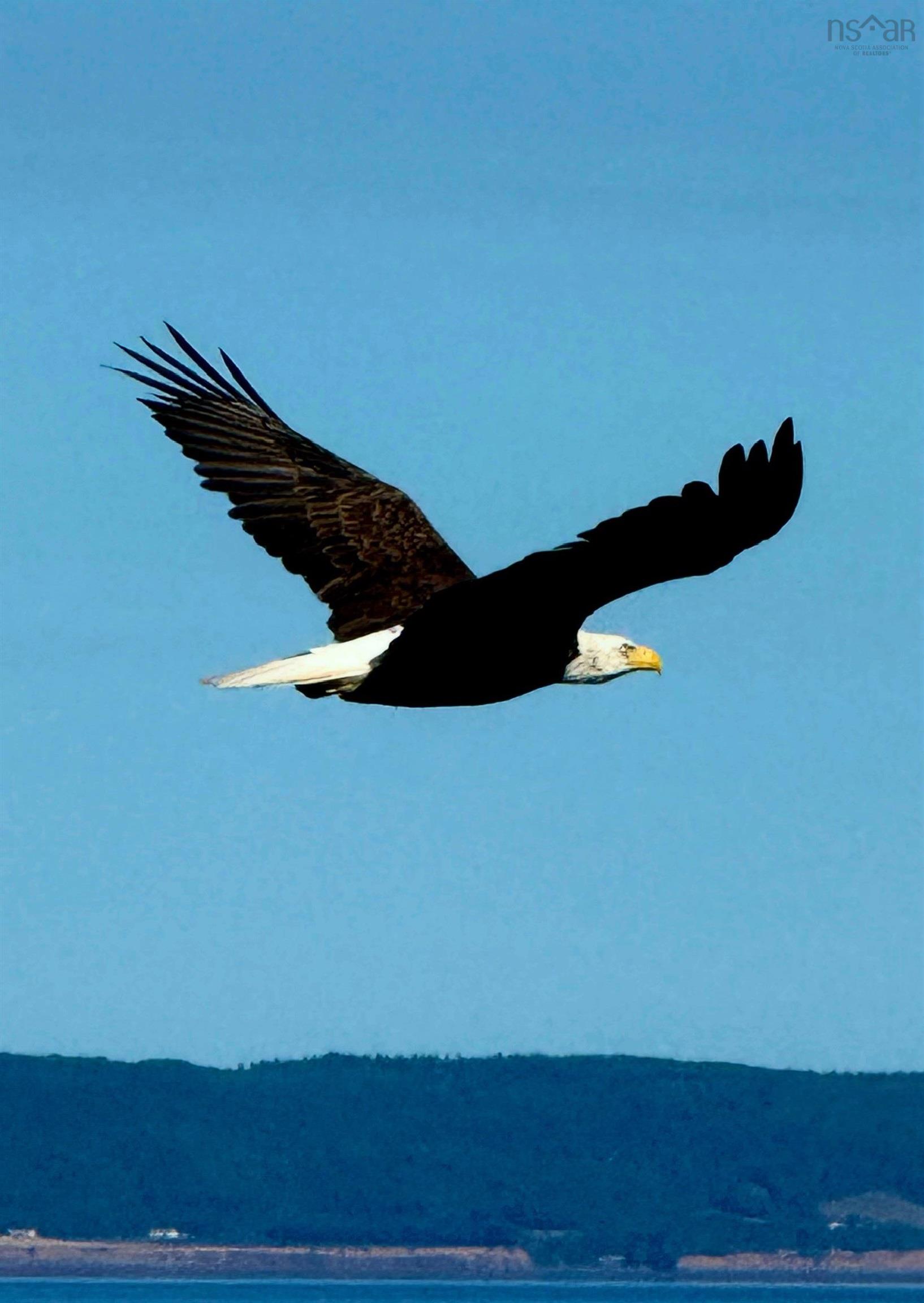 $199,900.00: 7645 215 Highway, Cambridge