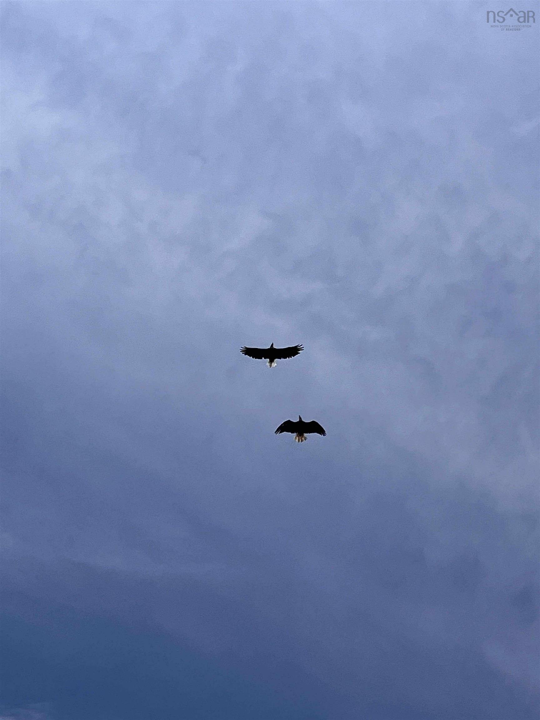 $199,900.00: 7645 215 Highway, Cambridge