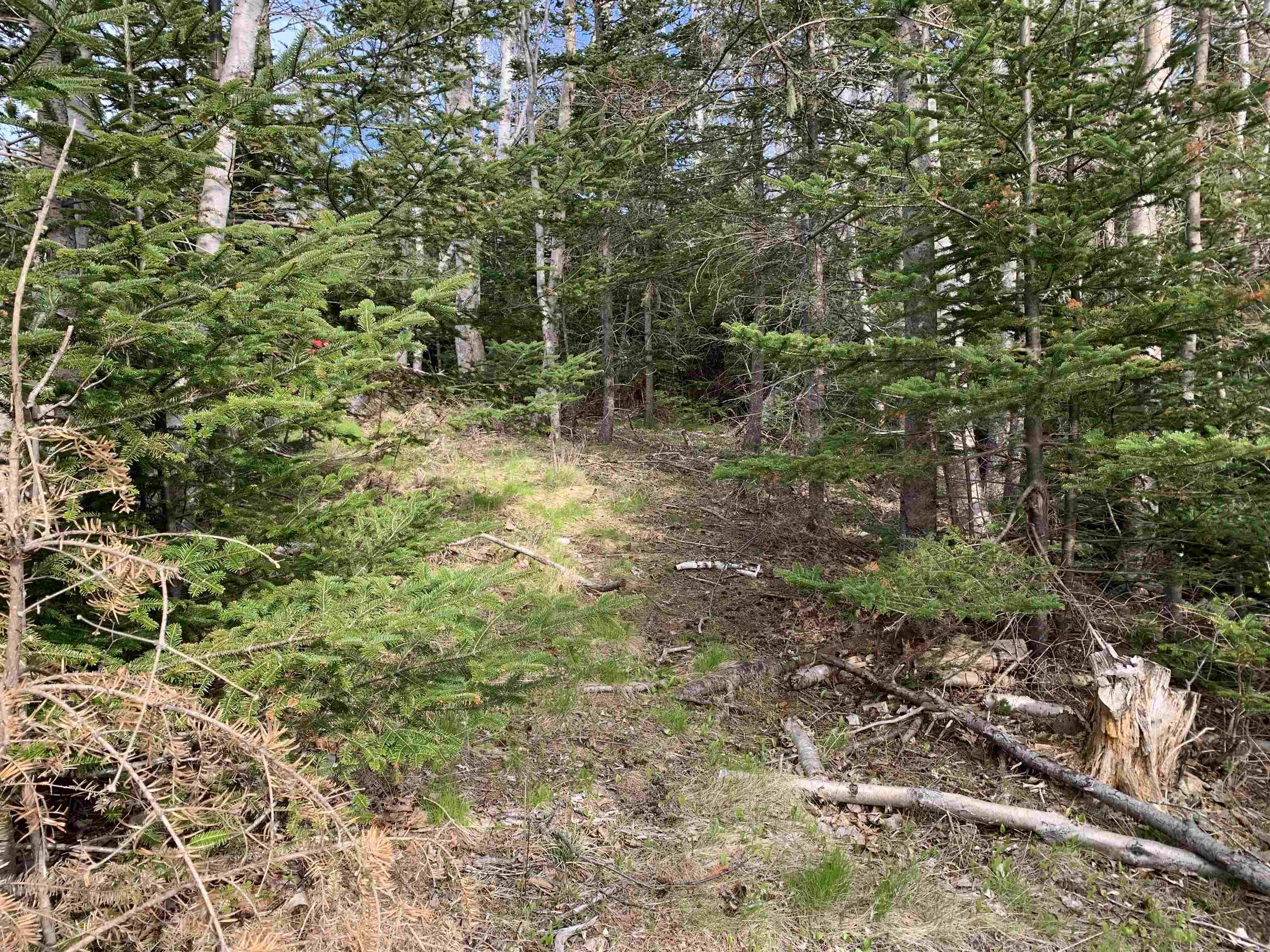 $199,900.00: 7645 215 Highway, Cambridge