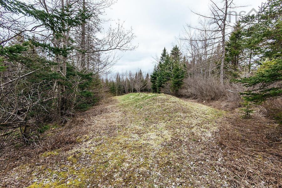 2249 Sackville Drive, Upper Sackville, NS (MLS 202608363)