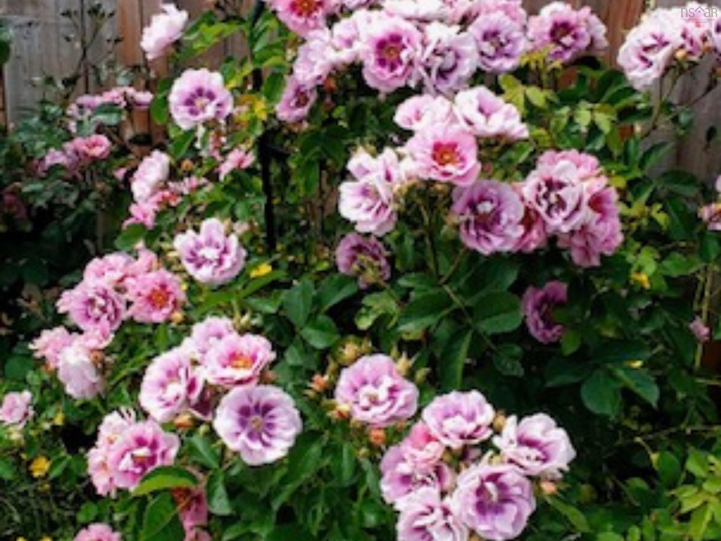 $269,900.00: 8 Wilson Avenue, Dartmouth