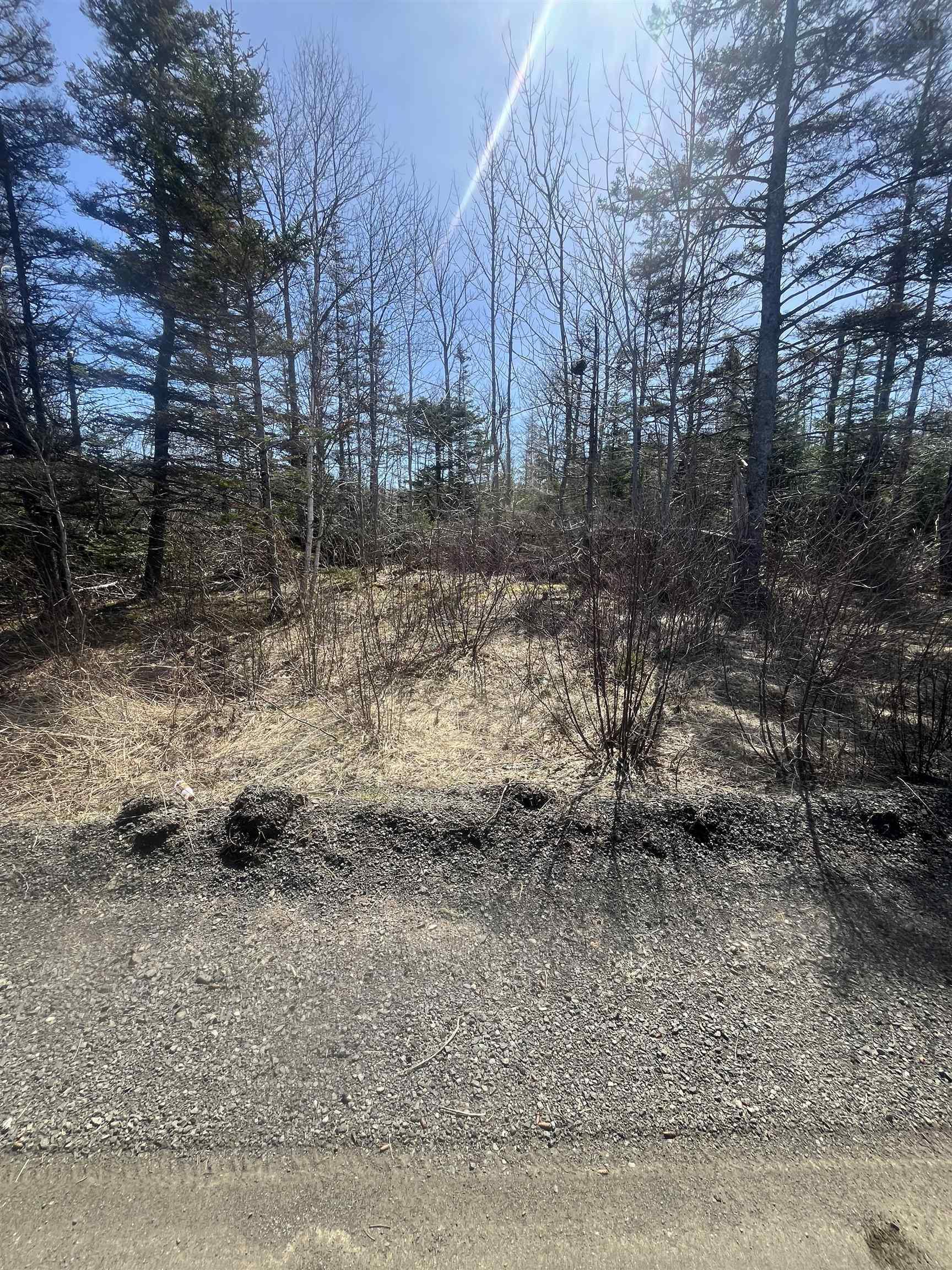 $75,000.00: Lot Hampton Mountain Road, Hampton