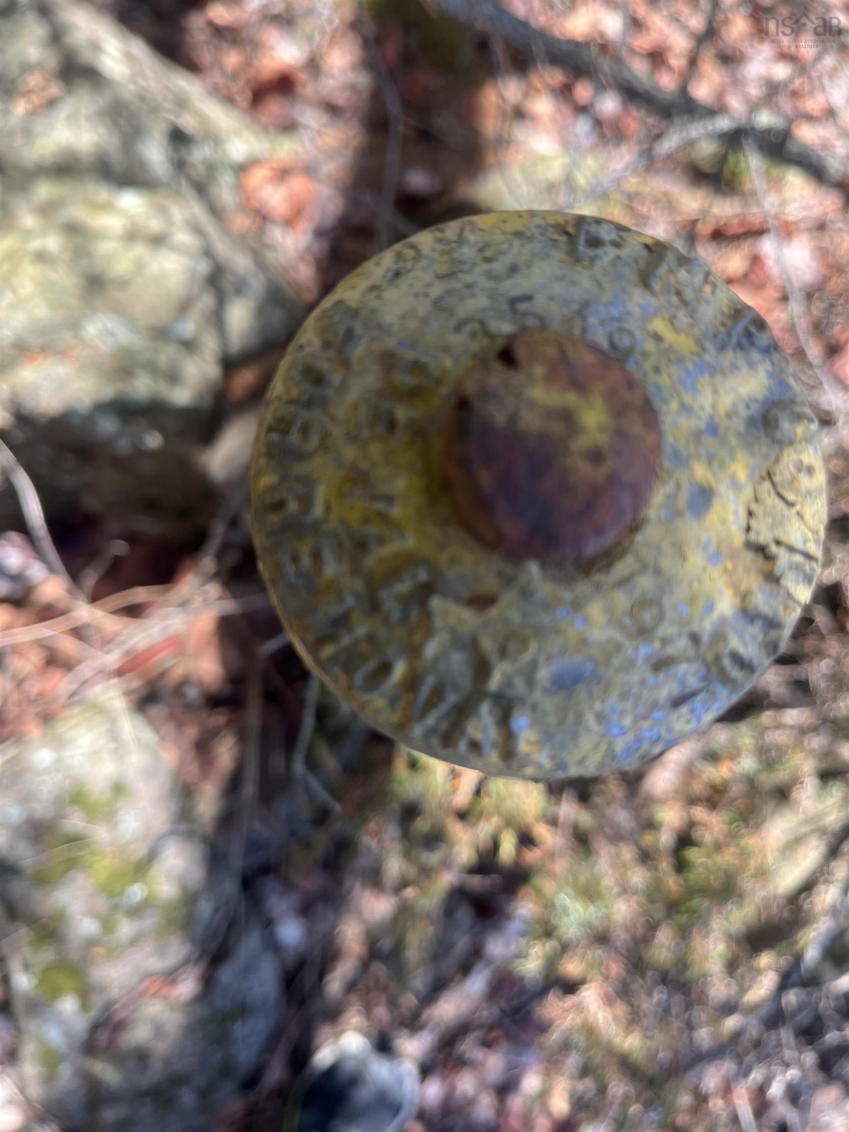 $75,000.00: Lot Hampton Mountain Road, Hampton