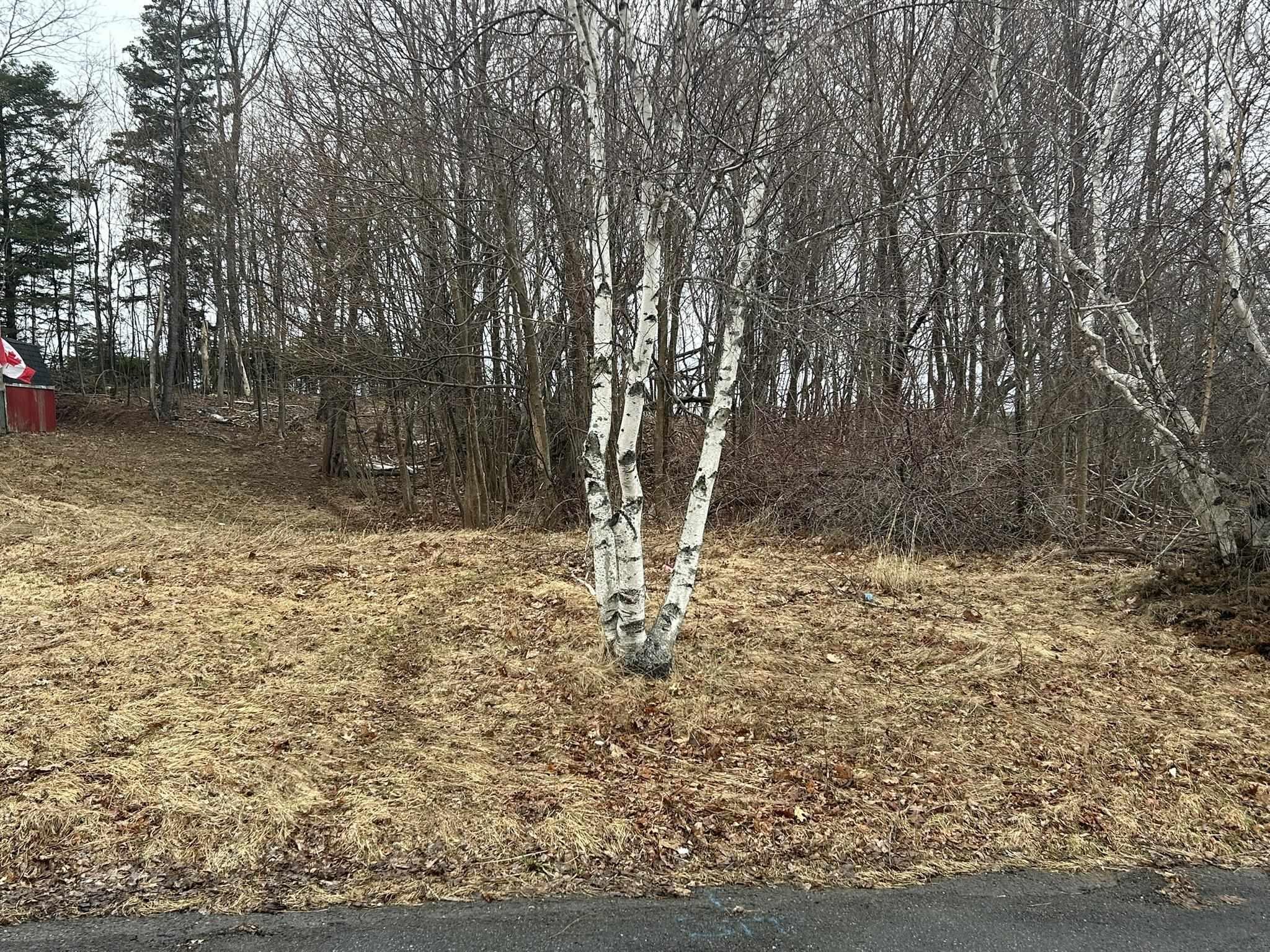 $39,000.00: Lot 1 511 BIRCH Street, New Glasgow