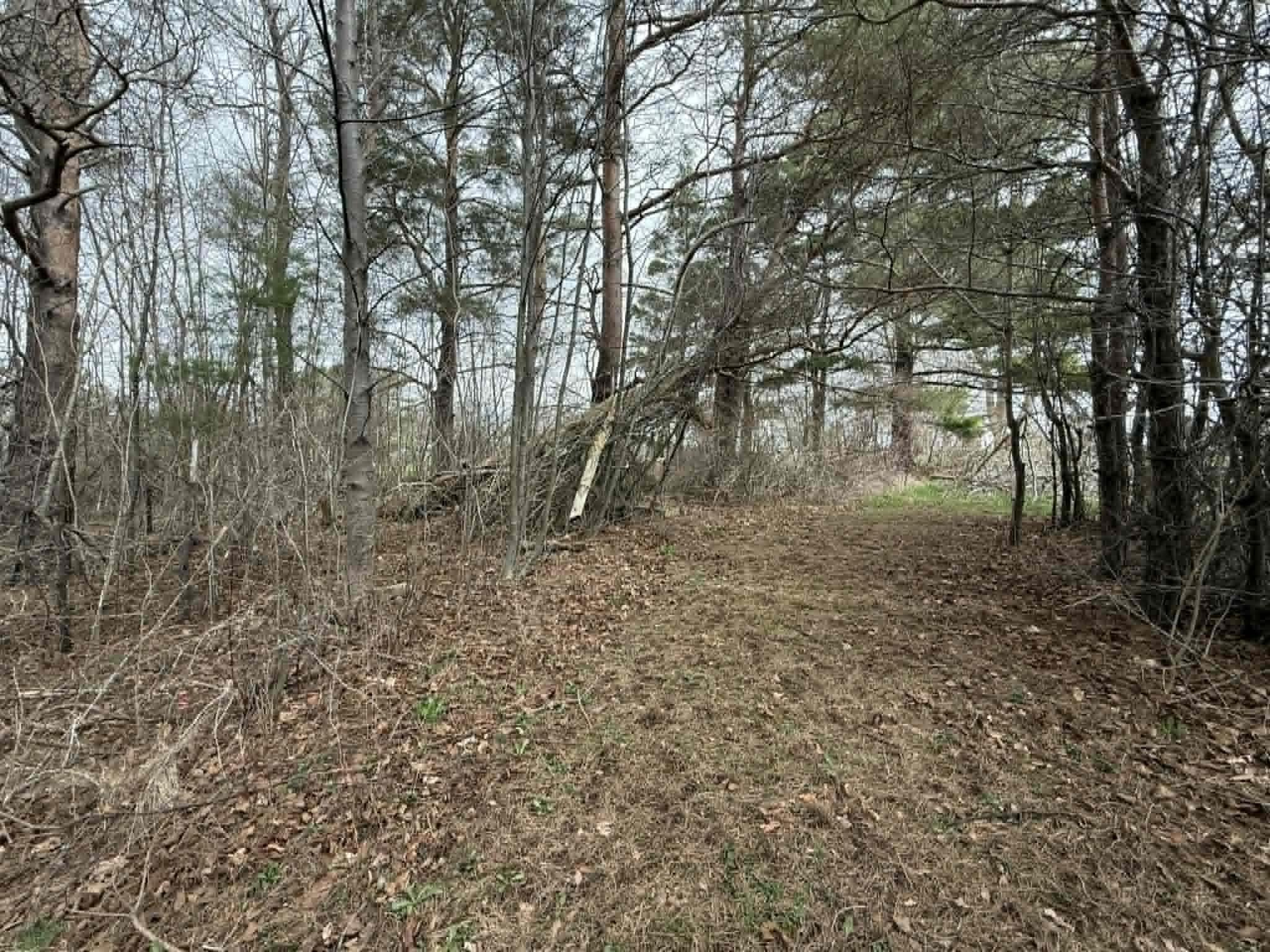 $39,000.00: LOT South Street, Carleton Corner