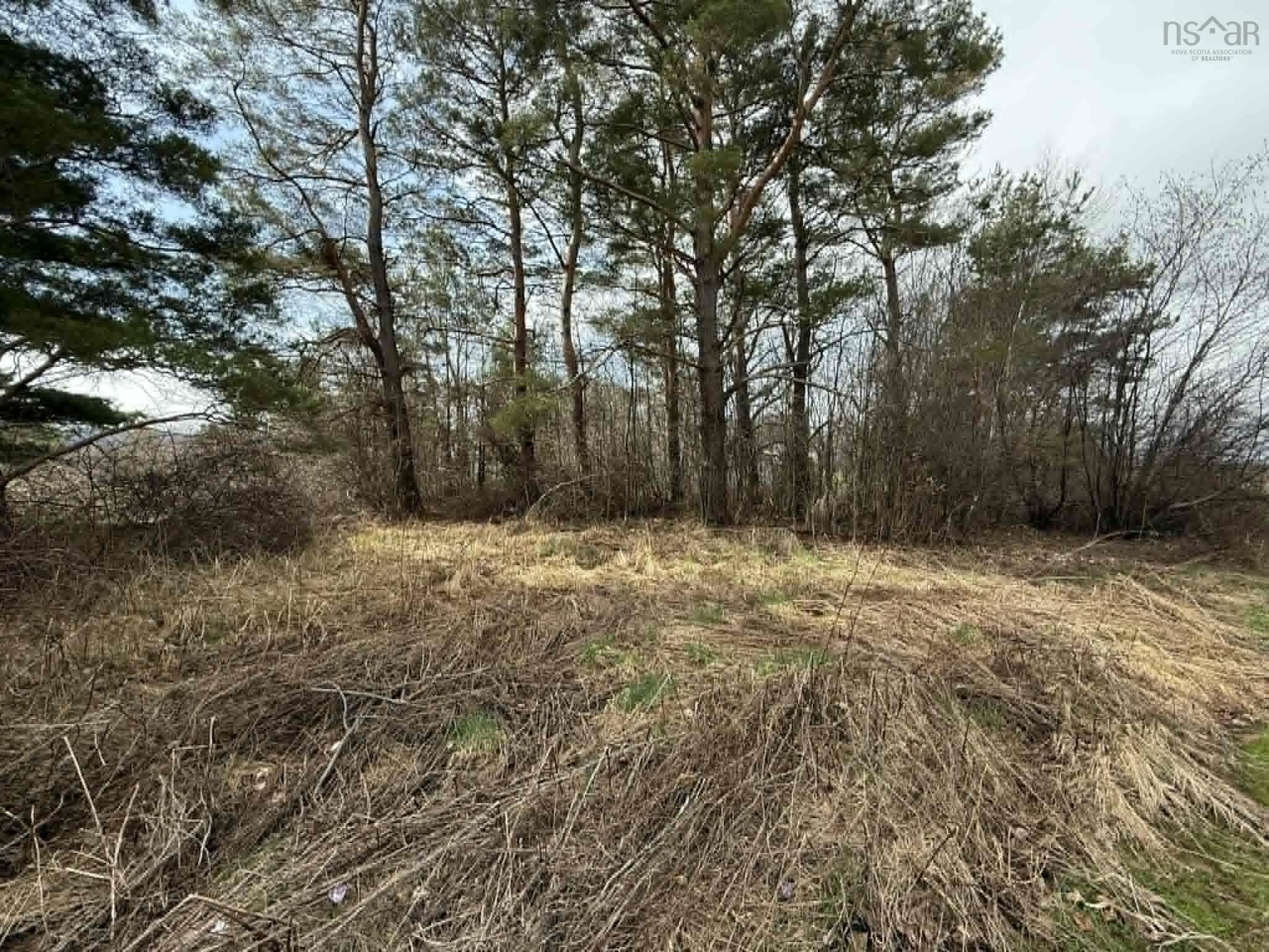 $39,000.00: LOT South Street, Carleton Corner