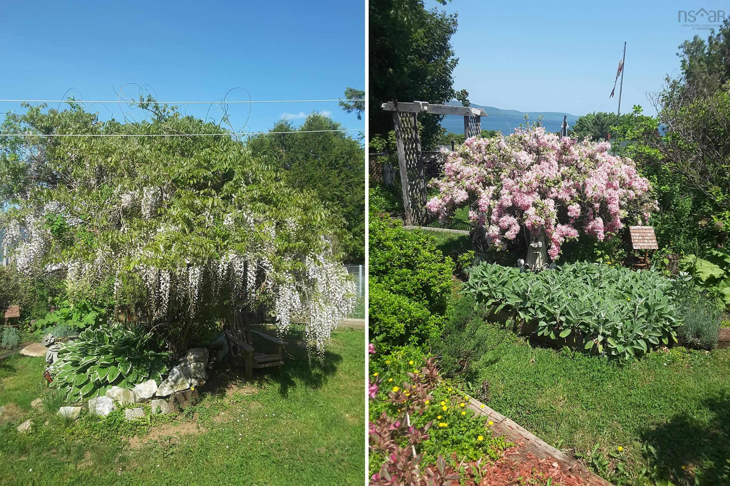 $293,500.00: 188 King Street, Digby